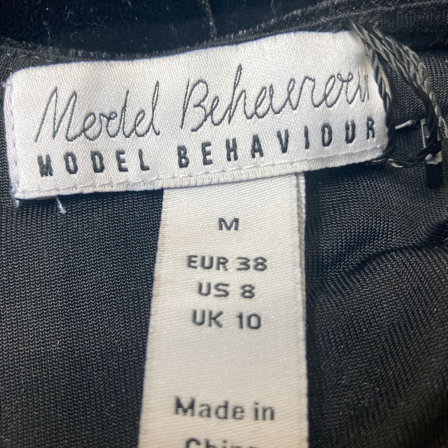 Model Behaviour