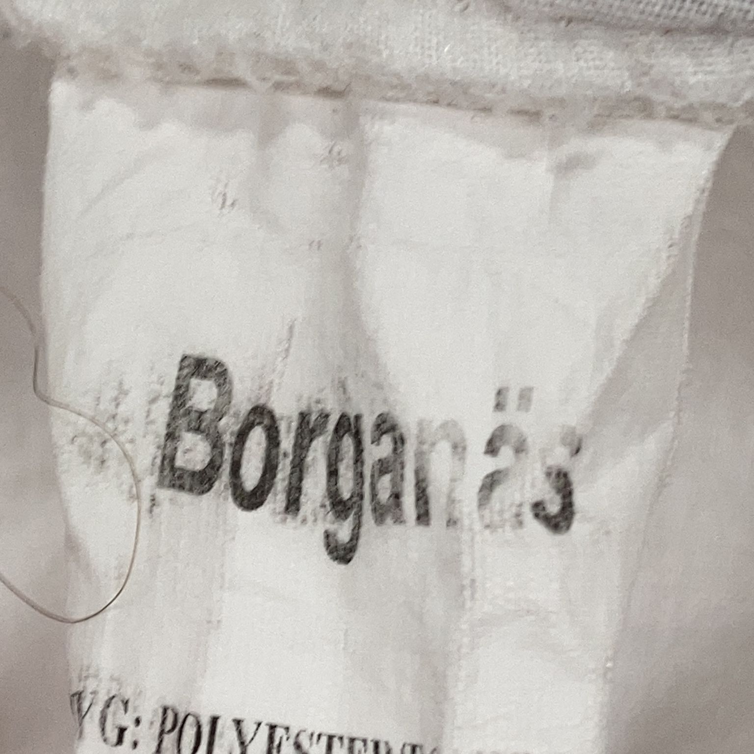 Borganäs