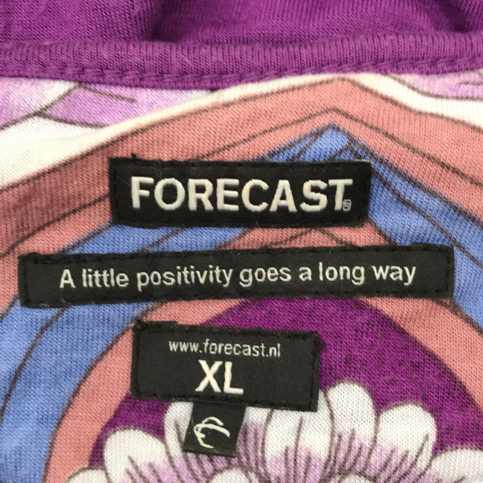 Forecast