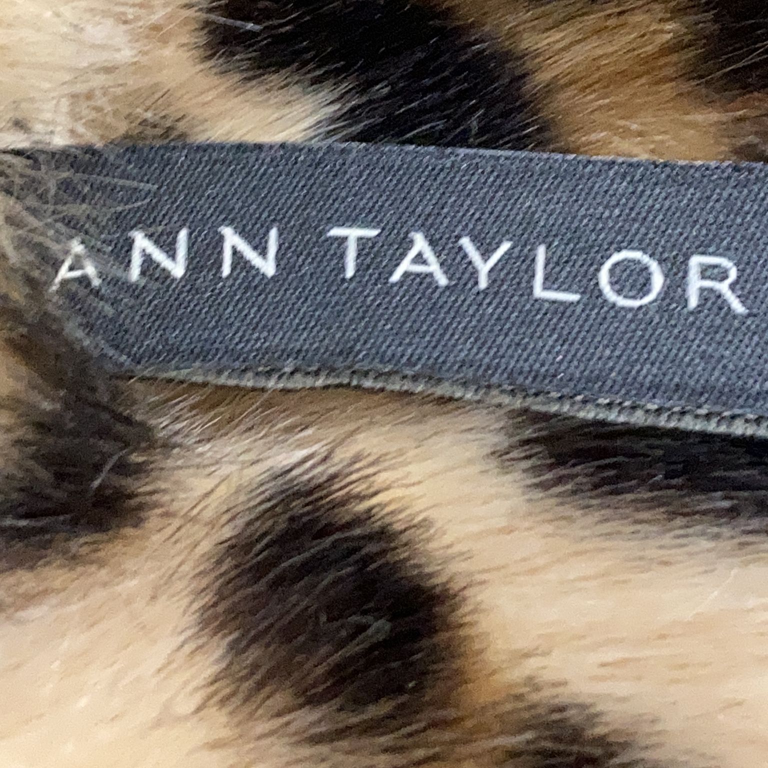 Ann Taylor