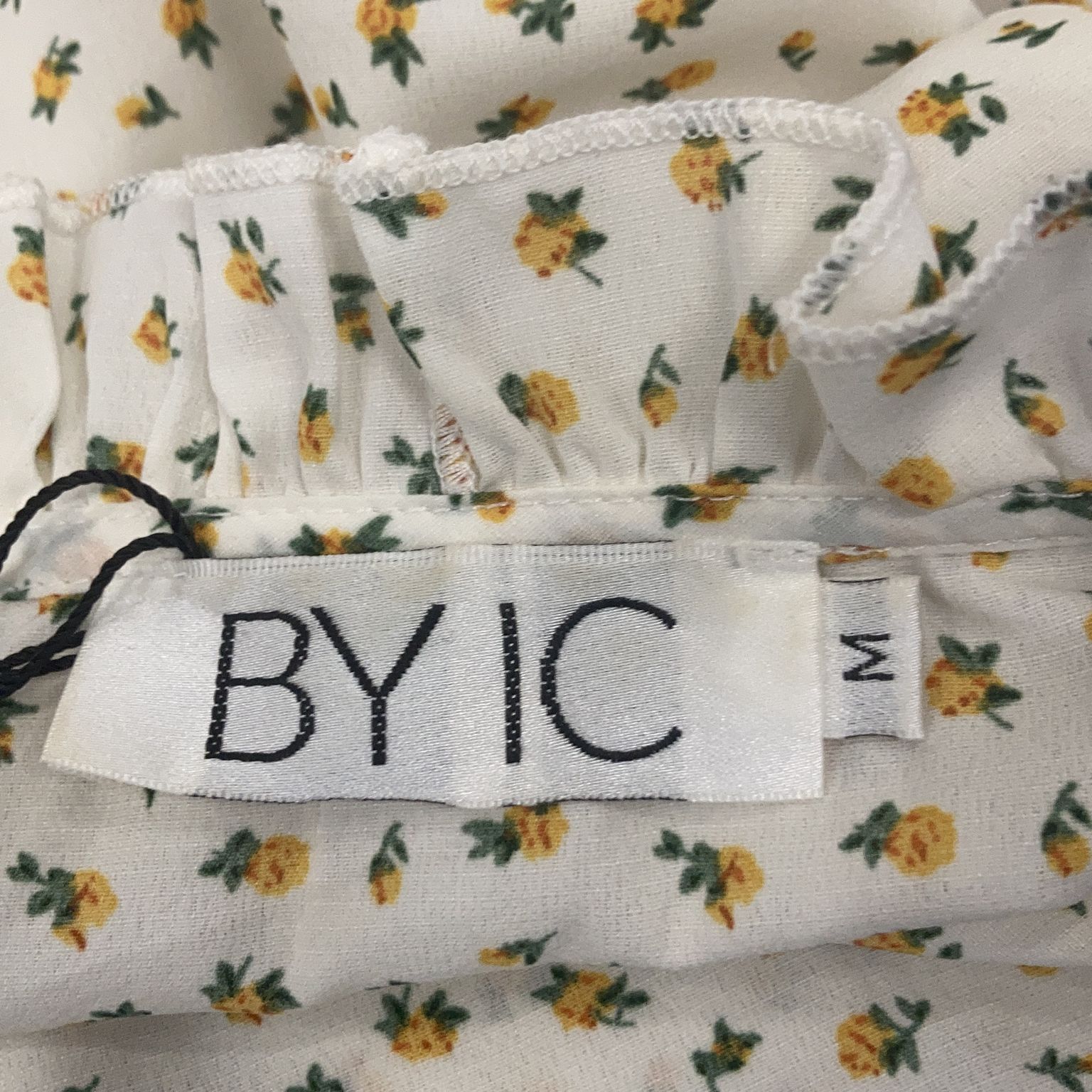 BYIC