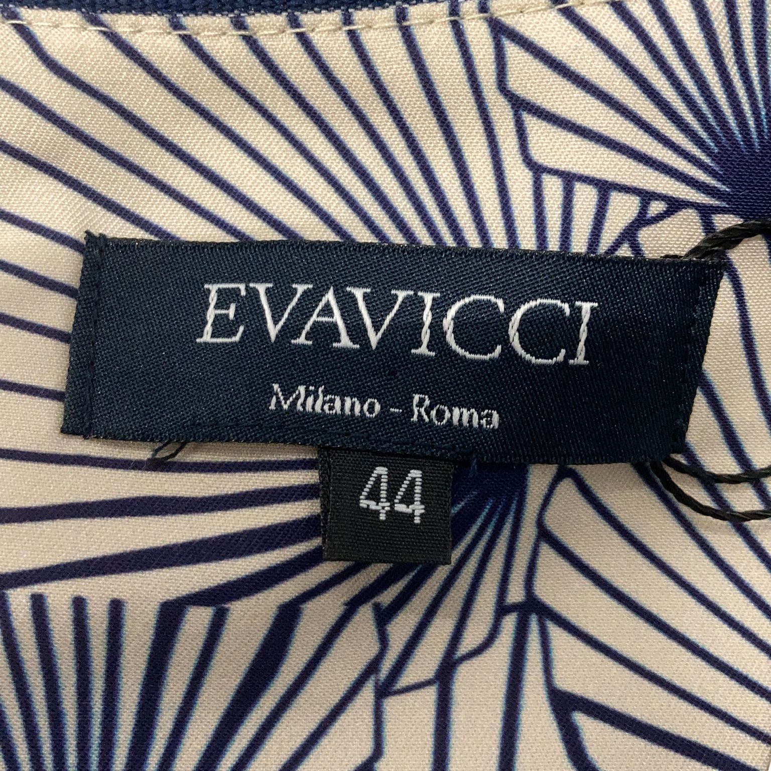 Evavicci