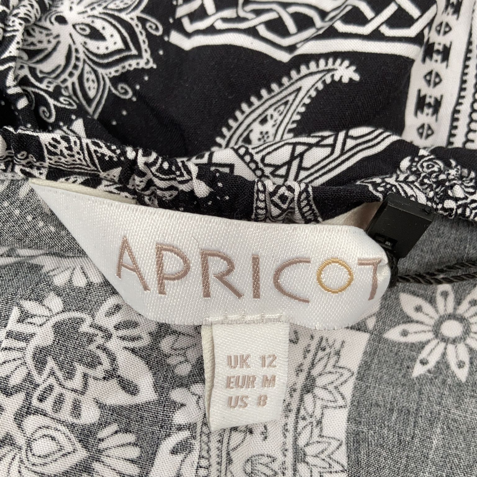 Apricot