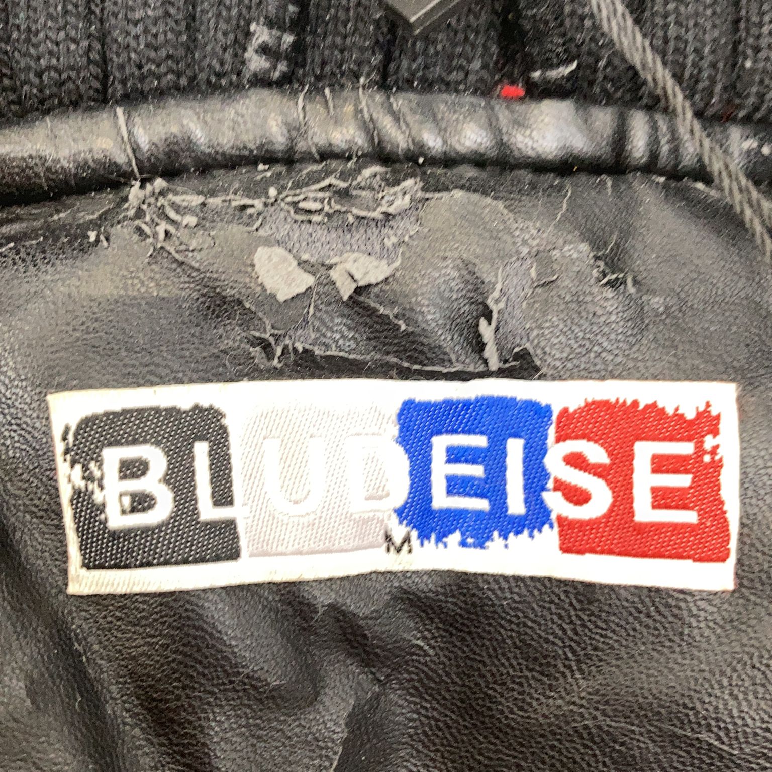 Bludeise