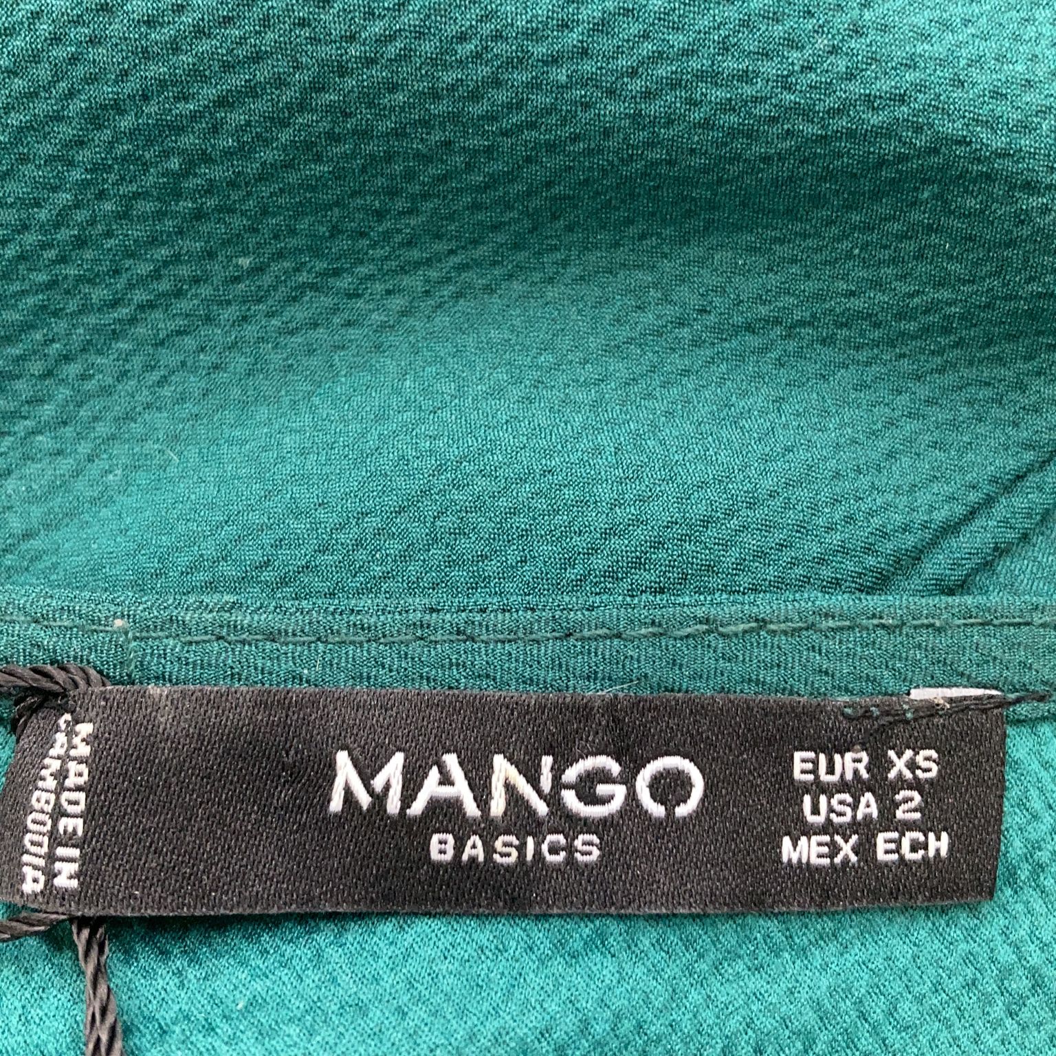 Mango Basics