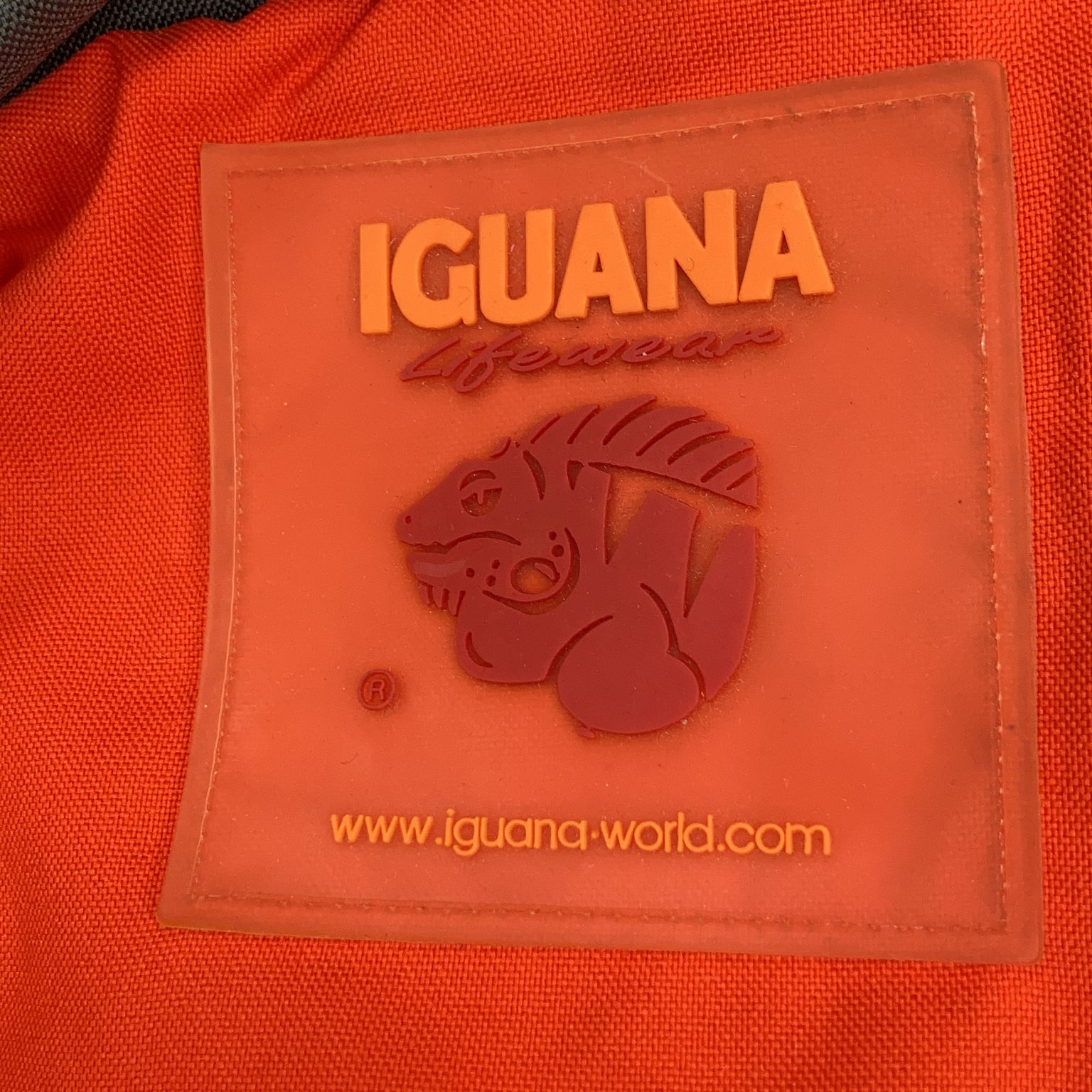 Iguana