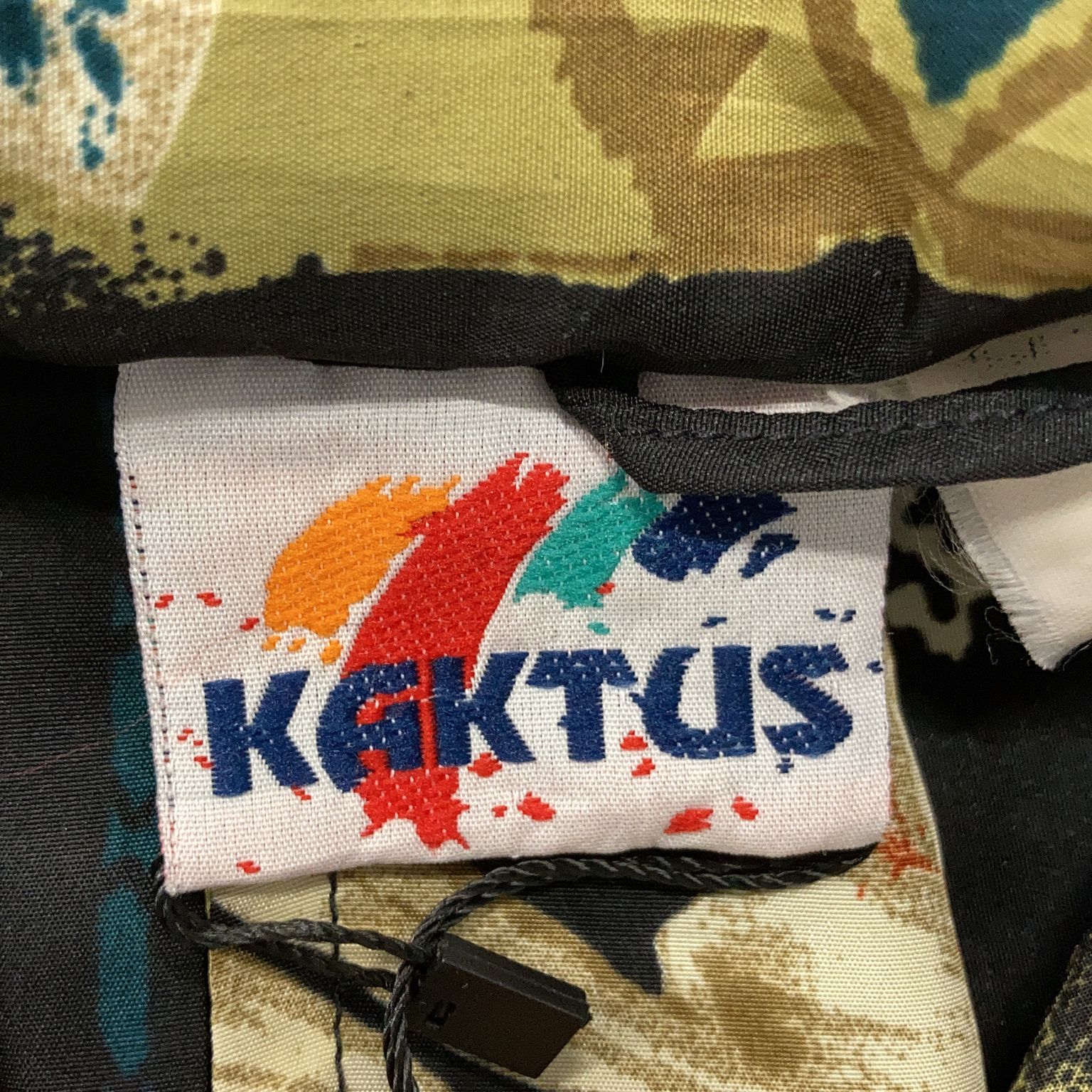 Kaktus