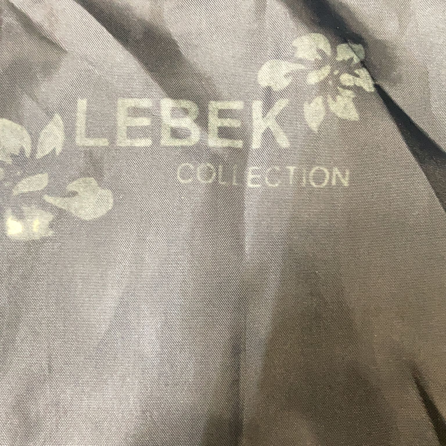 Lebek