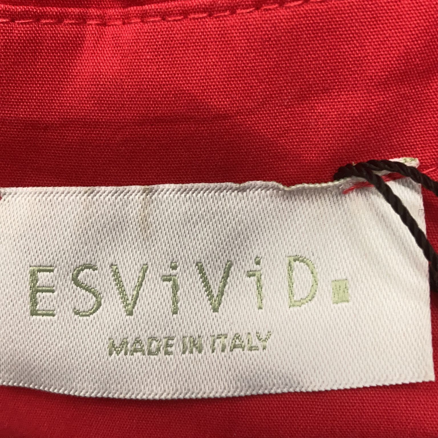 ESViViD