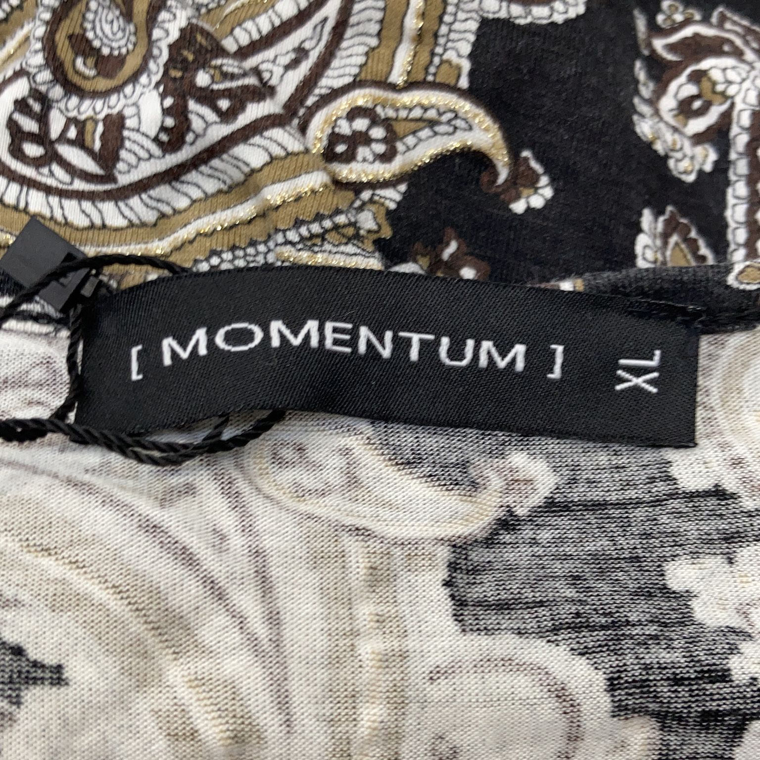 Momentum