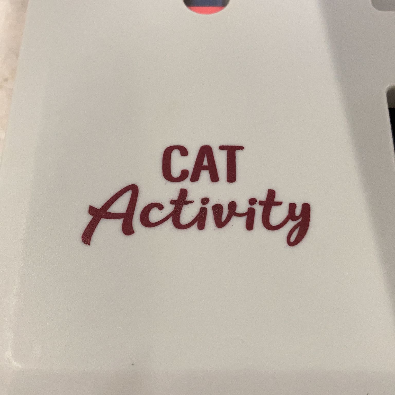 Cat Activity