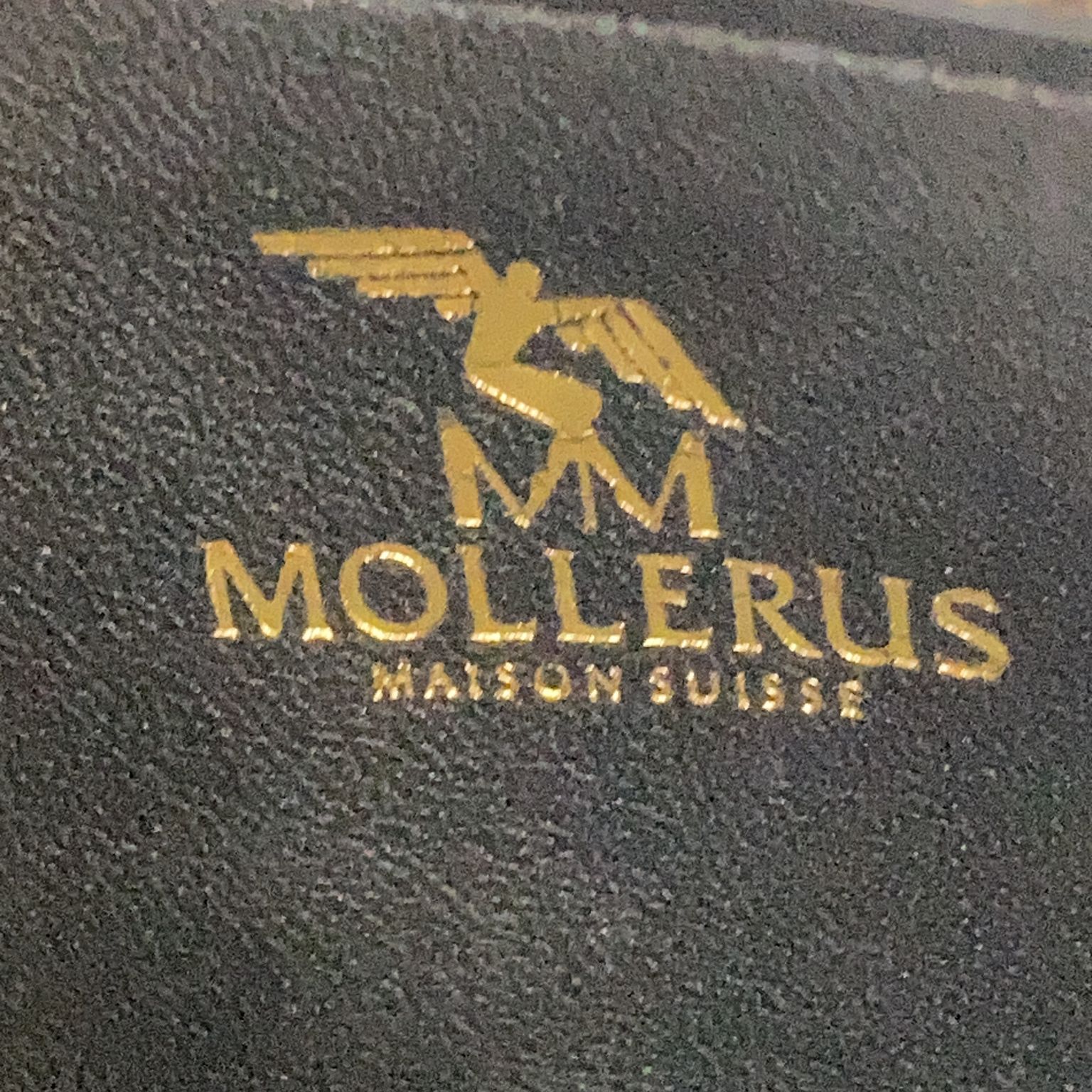 Mollerus