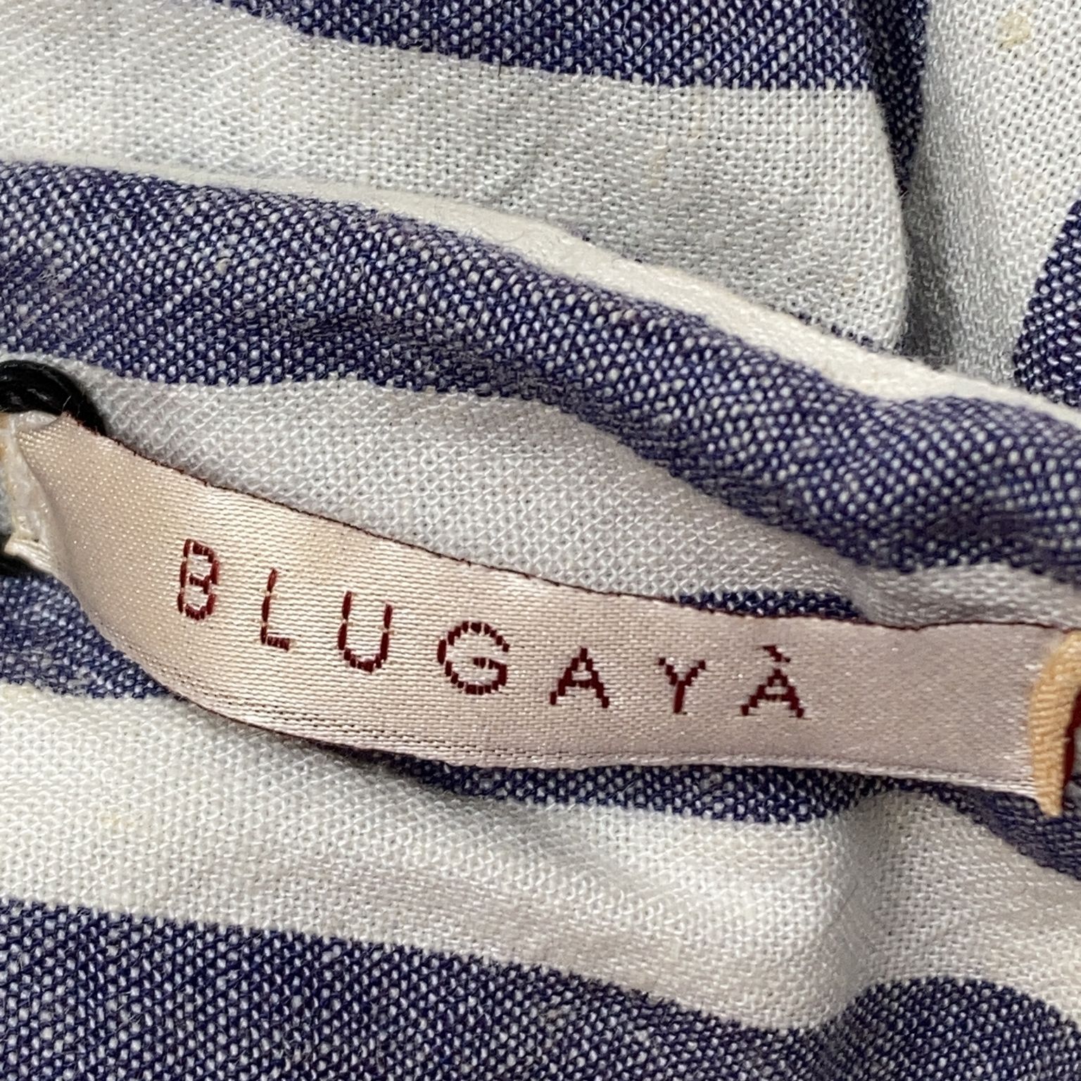 Blugaya