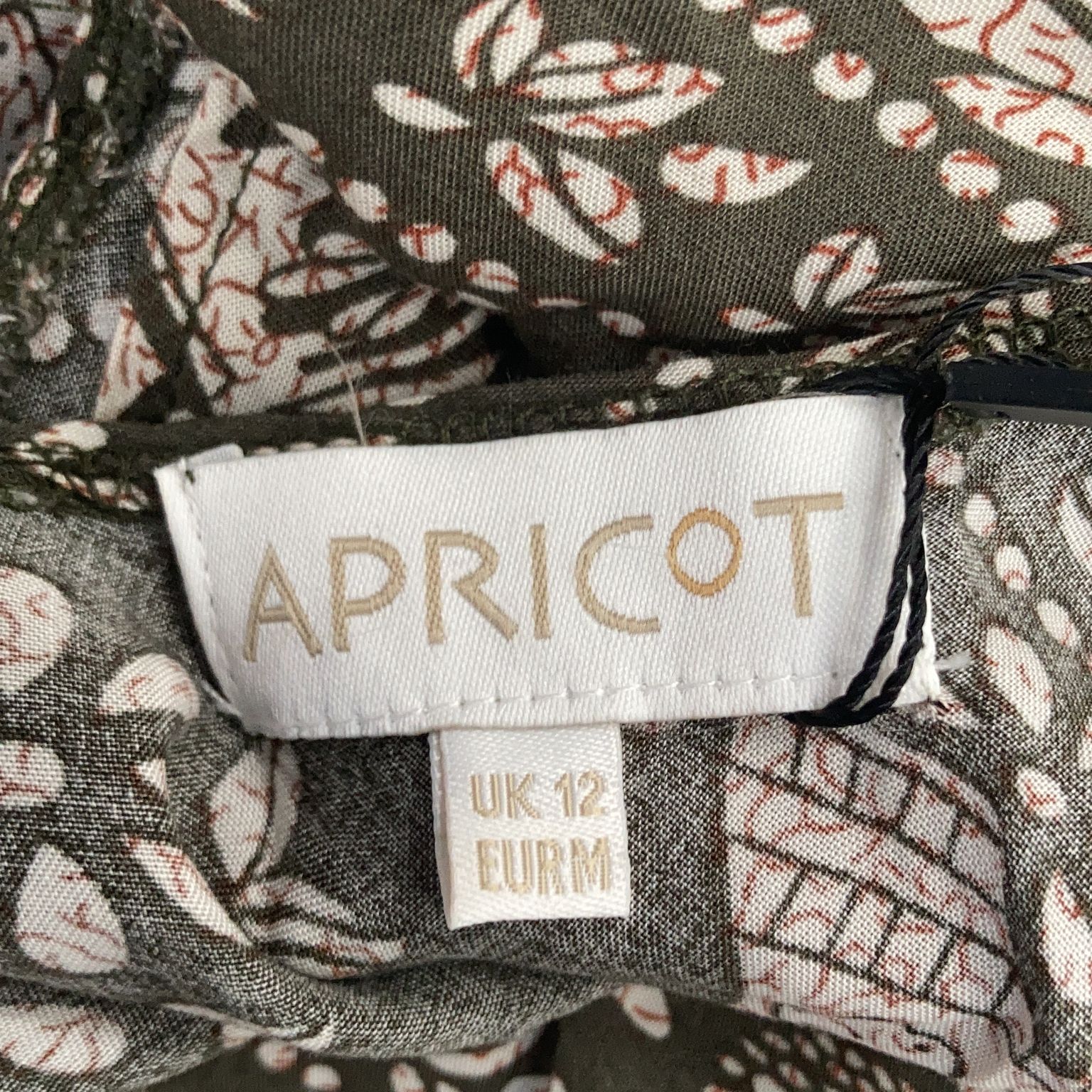 Apricot