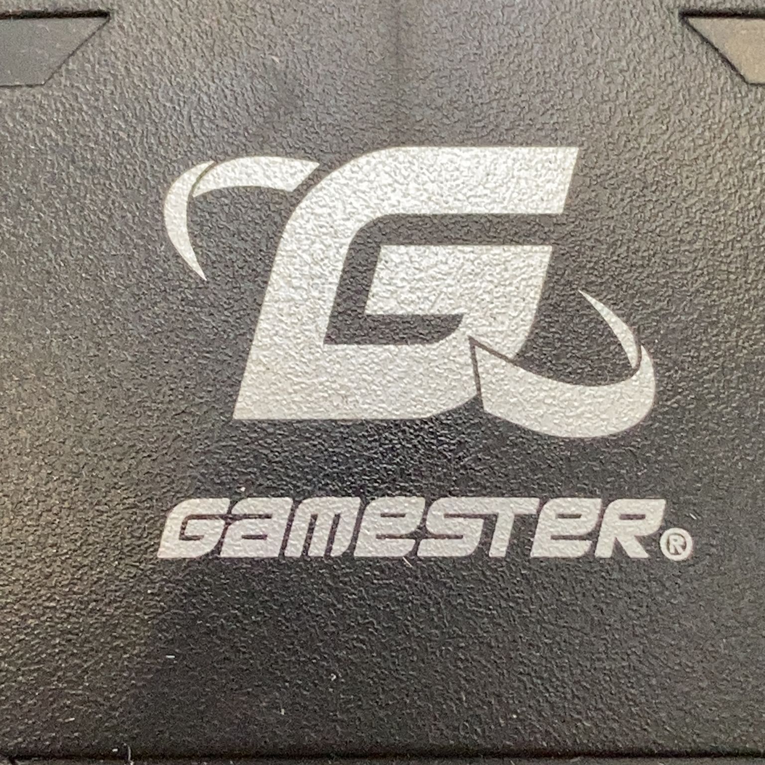 Gamester