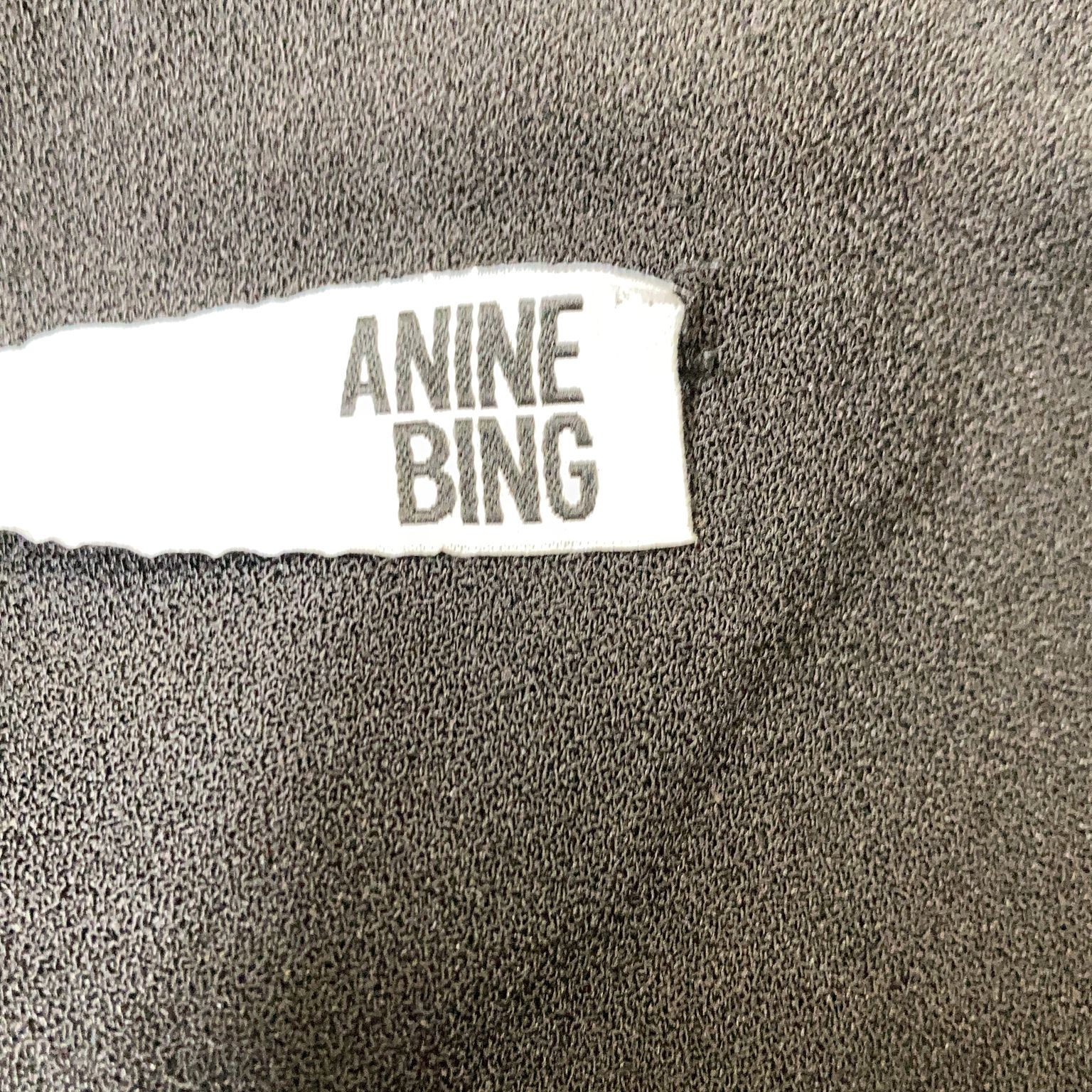 Anine Bing