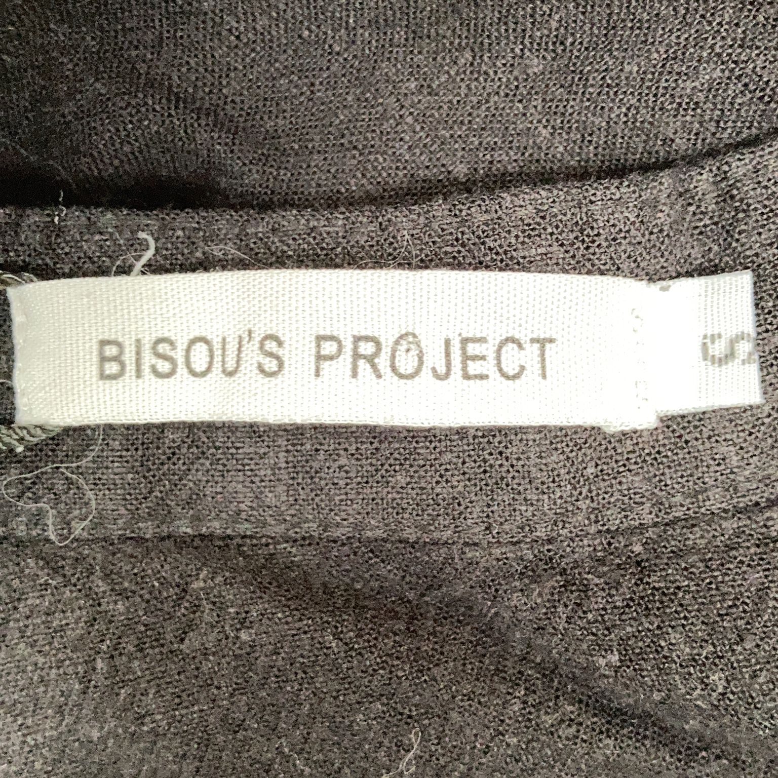 Bisou's Project