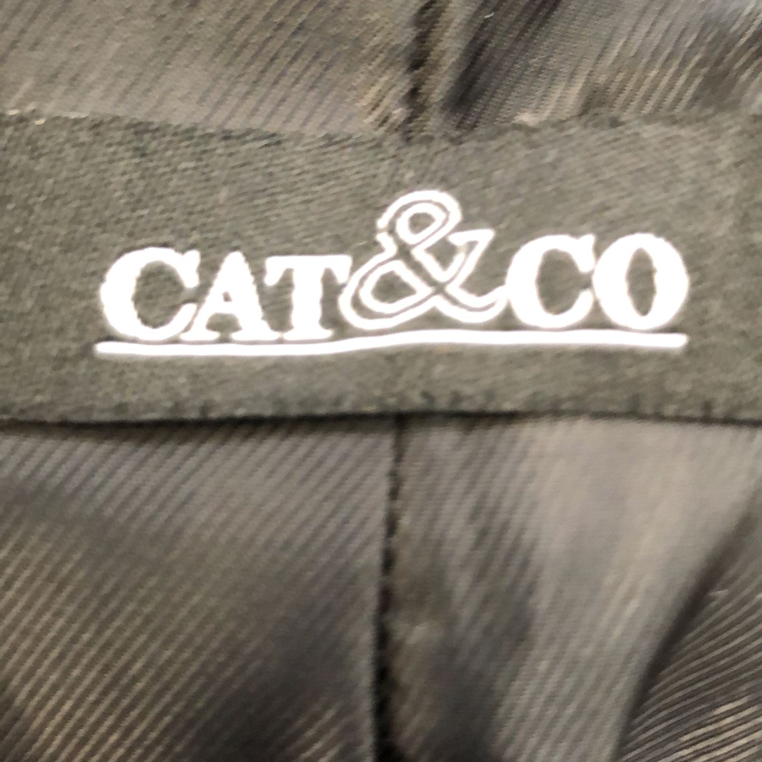 Cat  Co