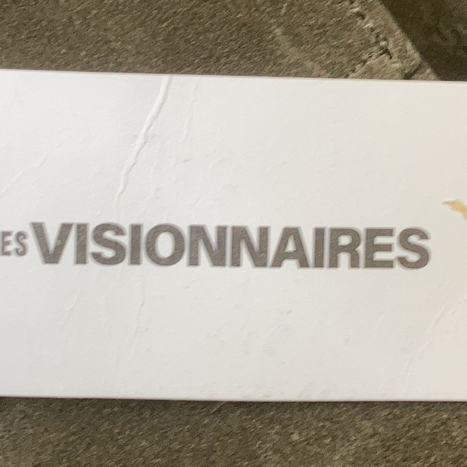 Les Visionnaires