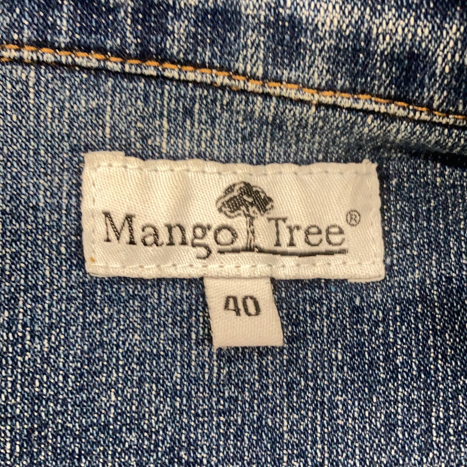 Mango Tree