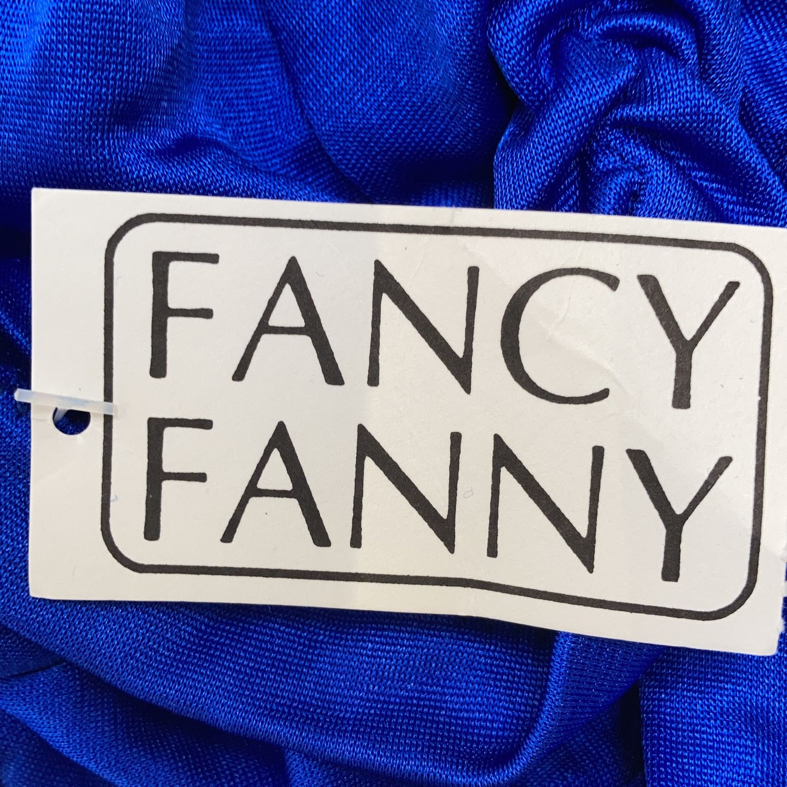 Fancy Fanny