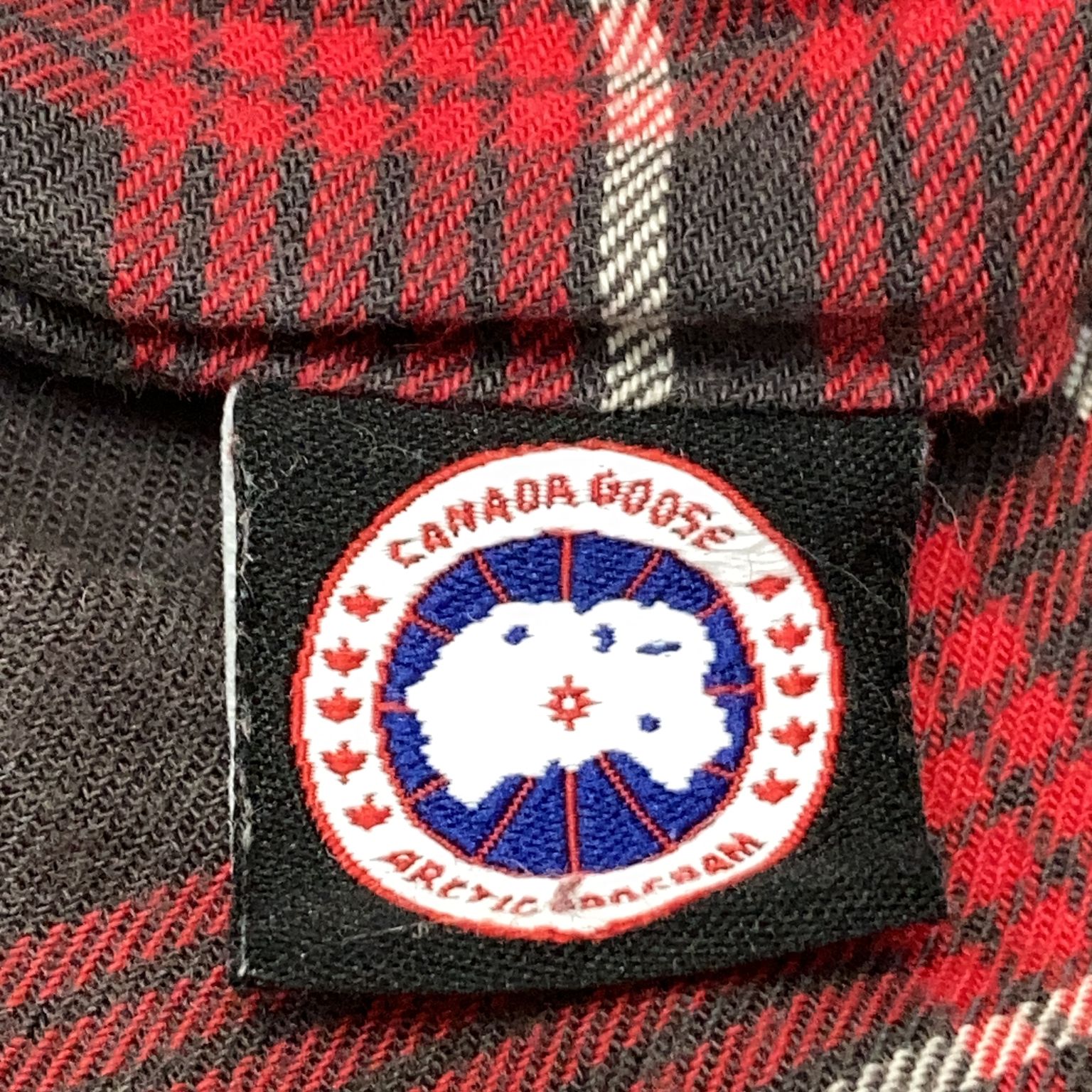 Canada Goose