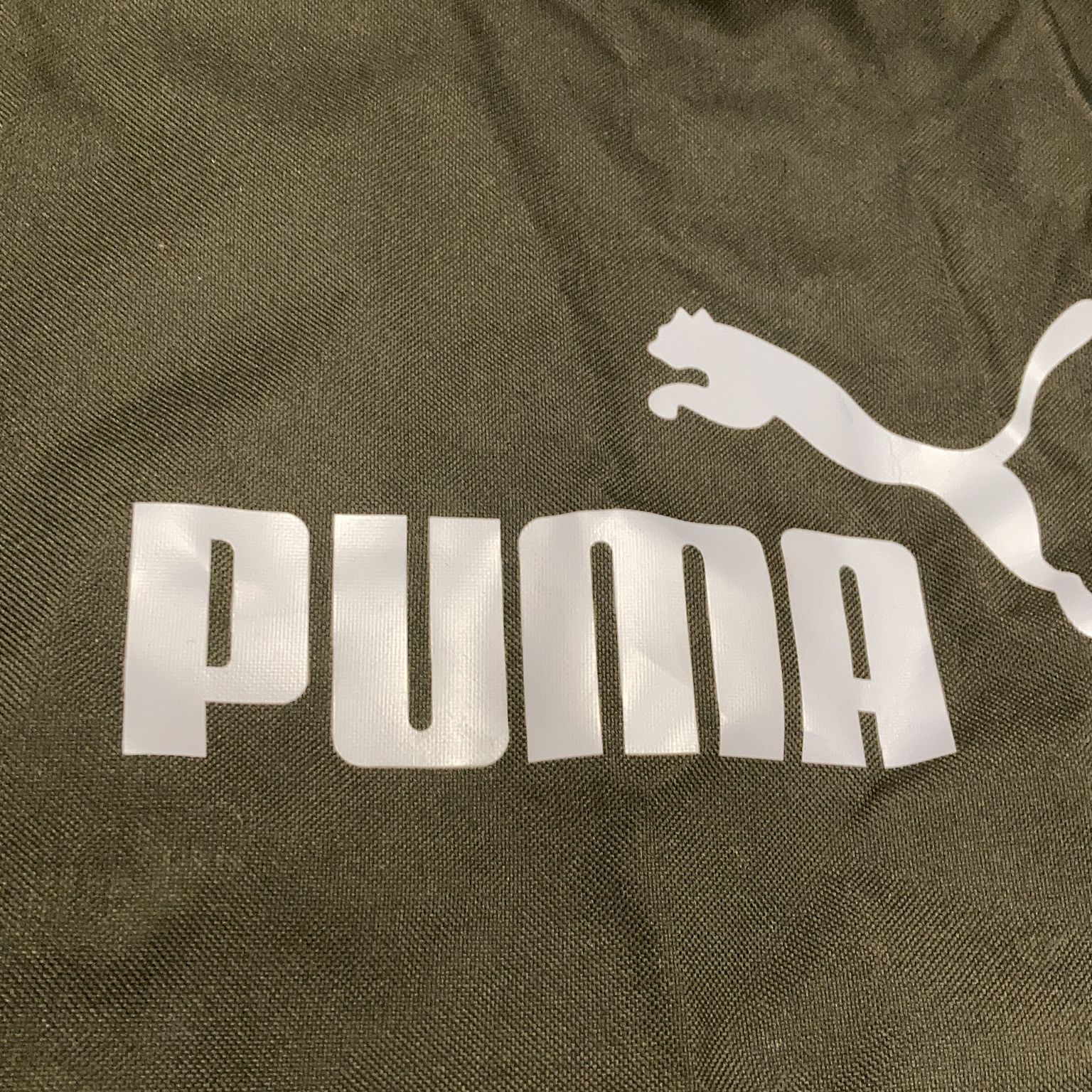 Puma