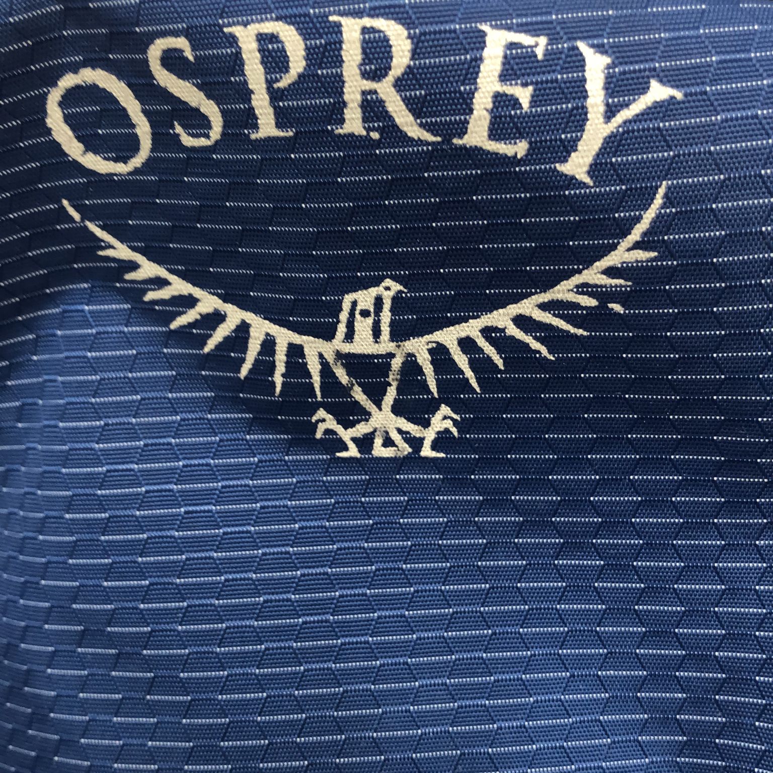 Osprey