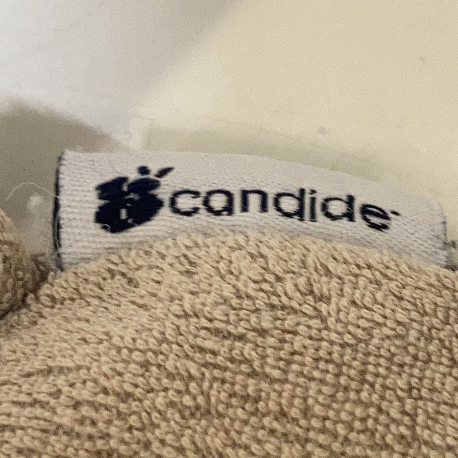 Candide