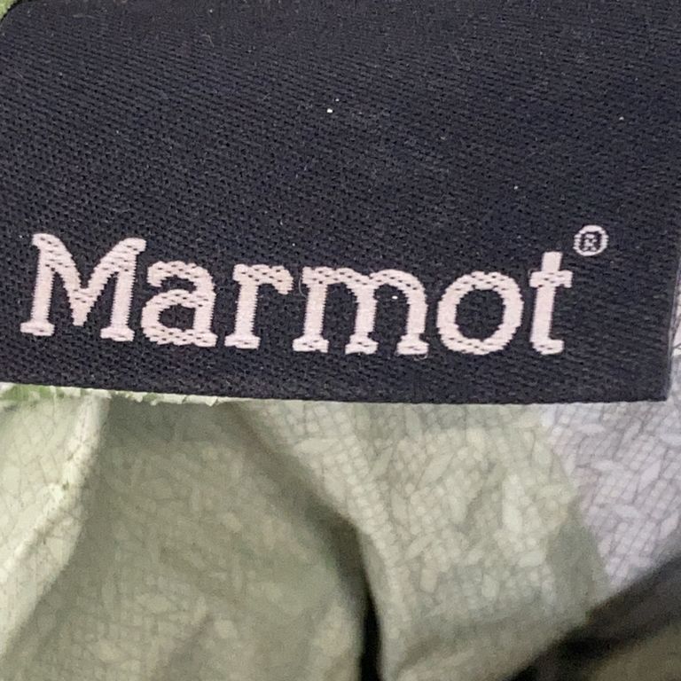 Marmot