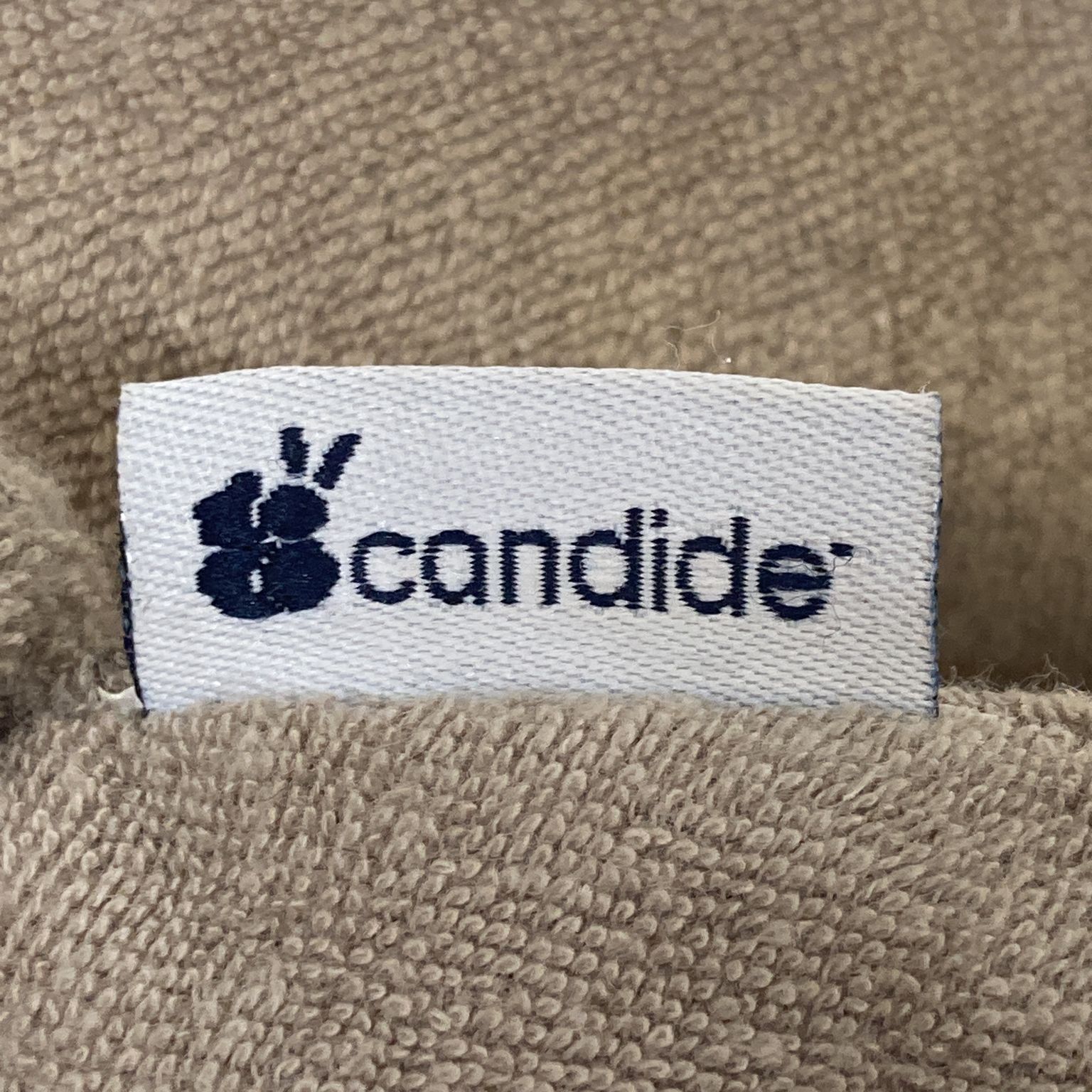 Candide