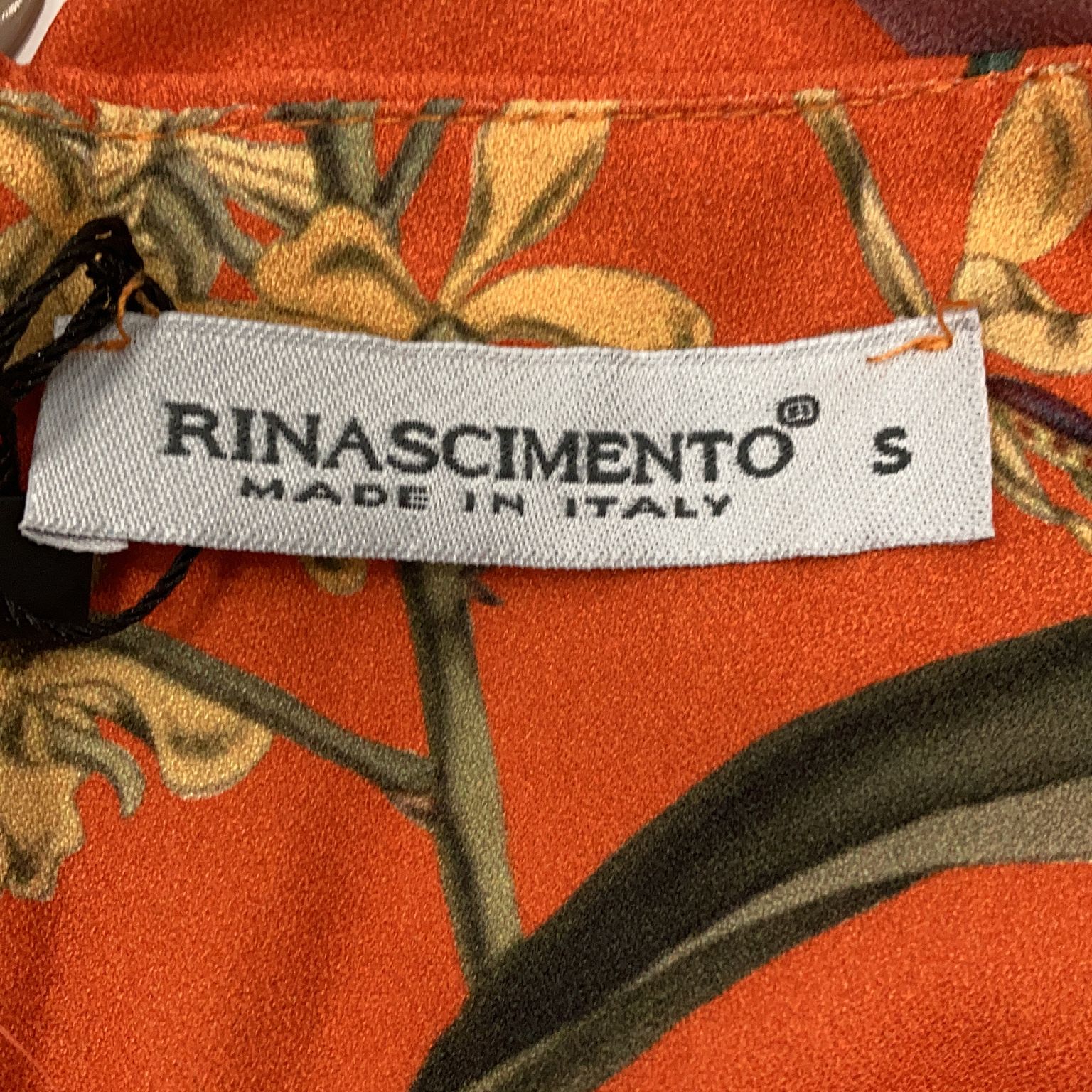 Rinascimento