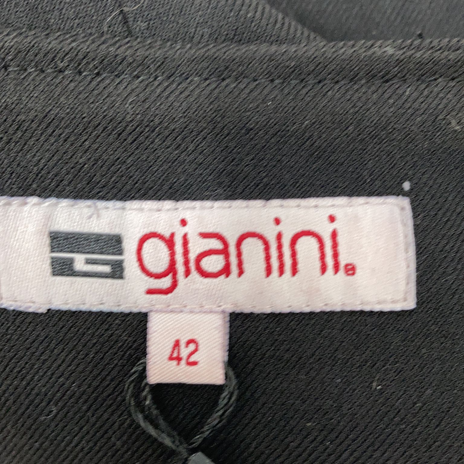 Gianini