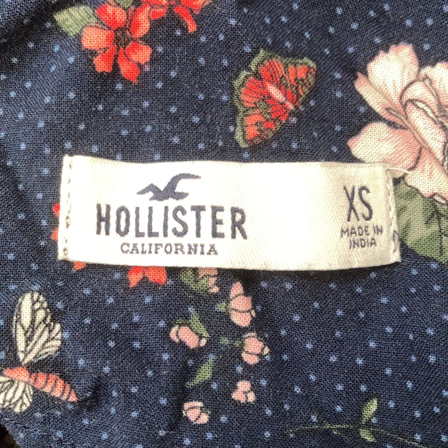 Hollister