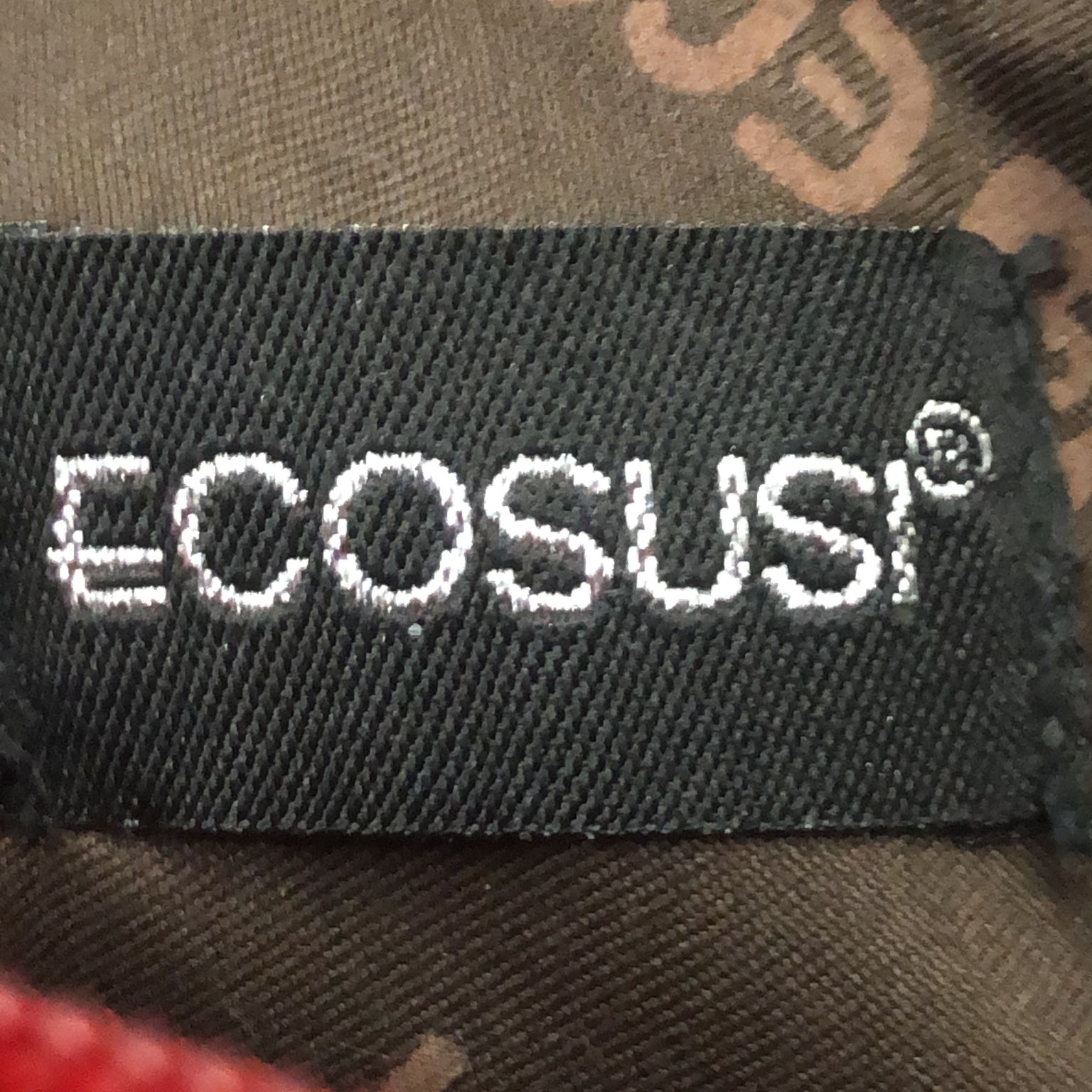 Ecosusi