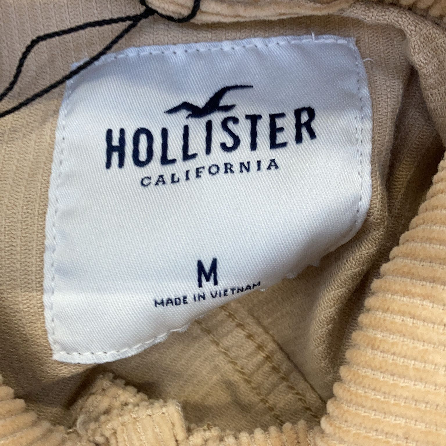 Hollister California