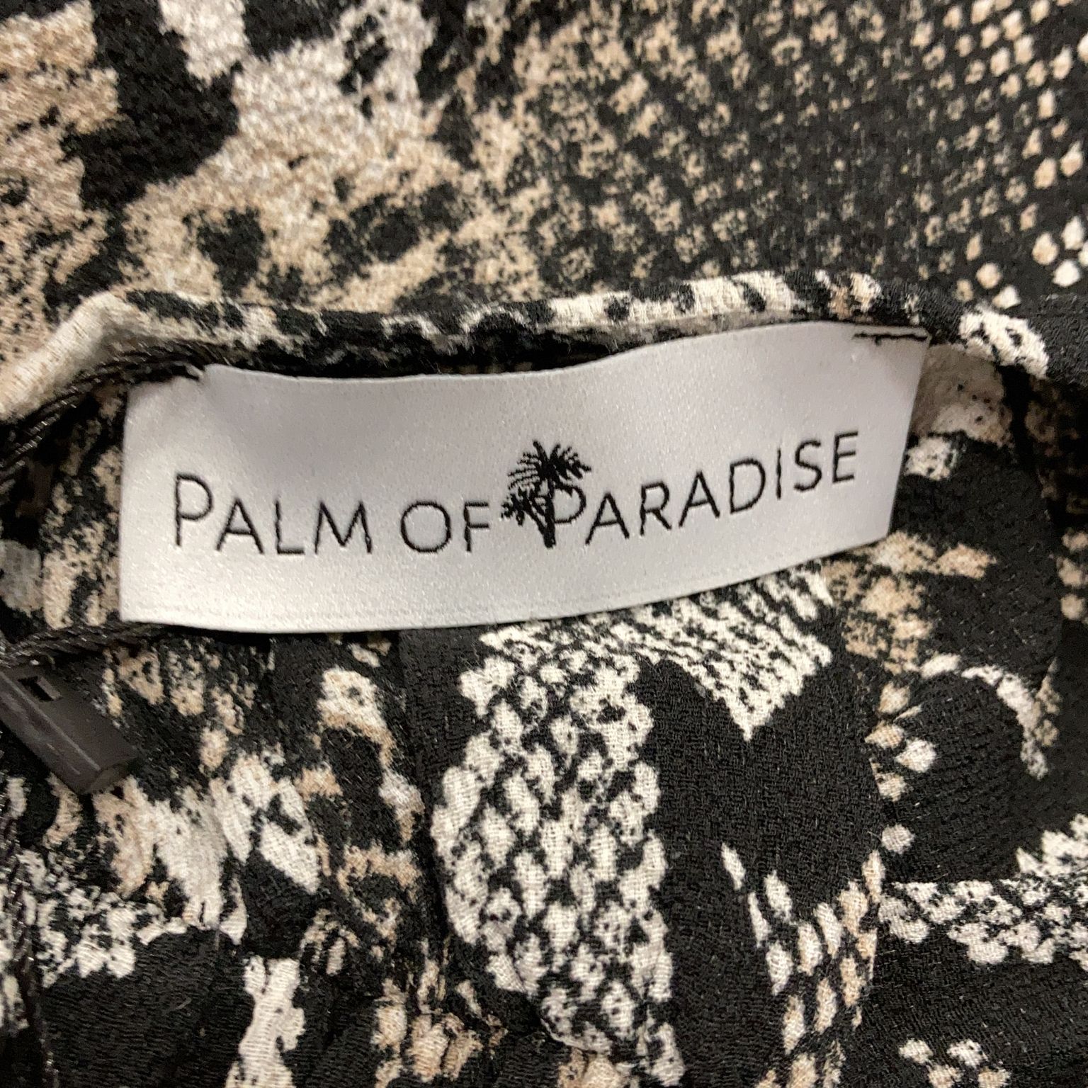 Palm of Paradise