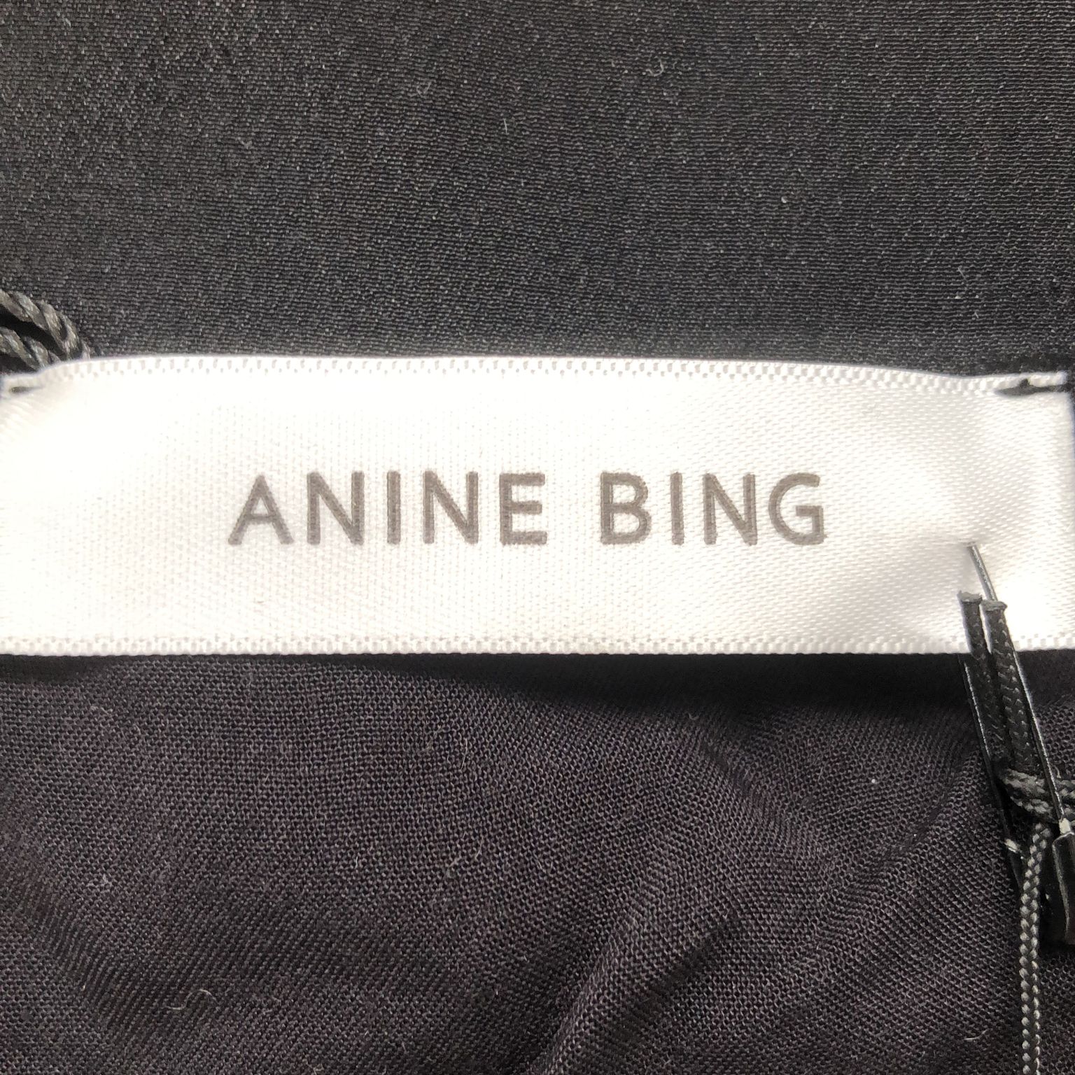 Anine Bing