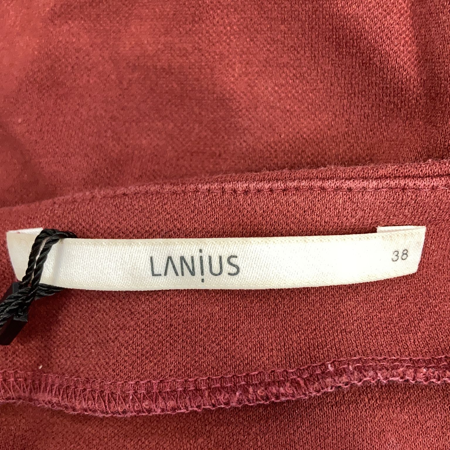 Lanius