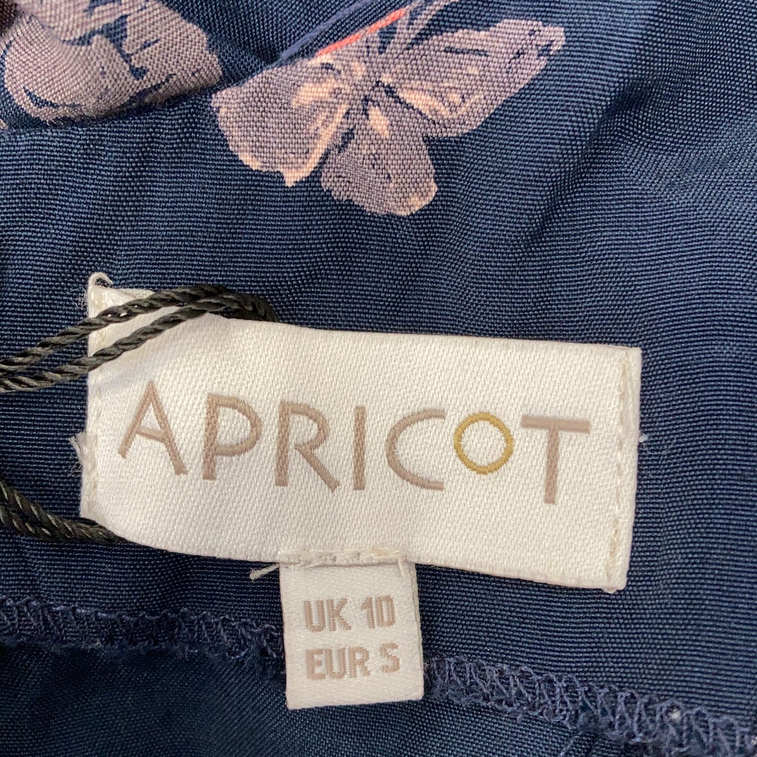 Apricot