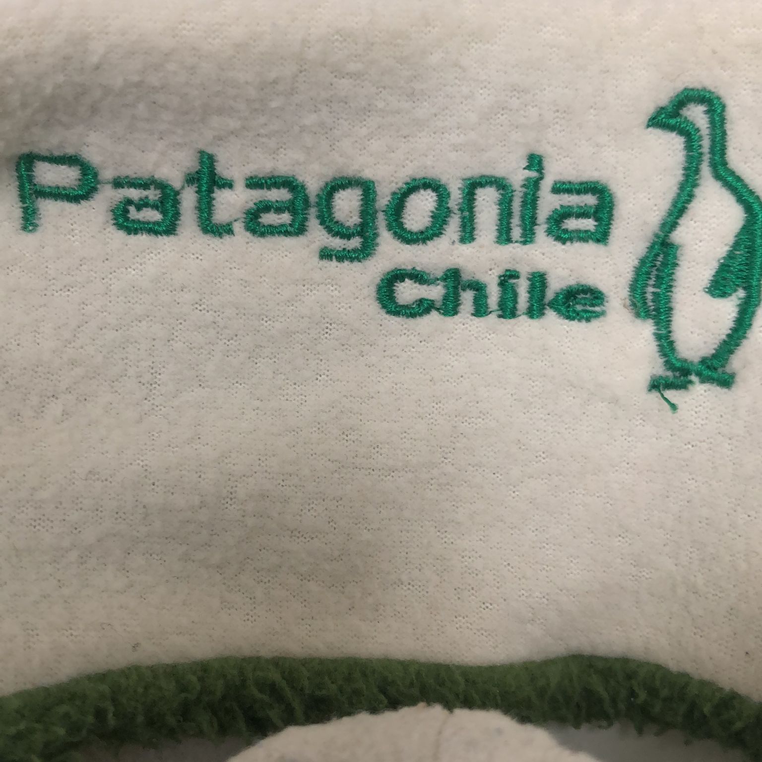 Patagonia