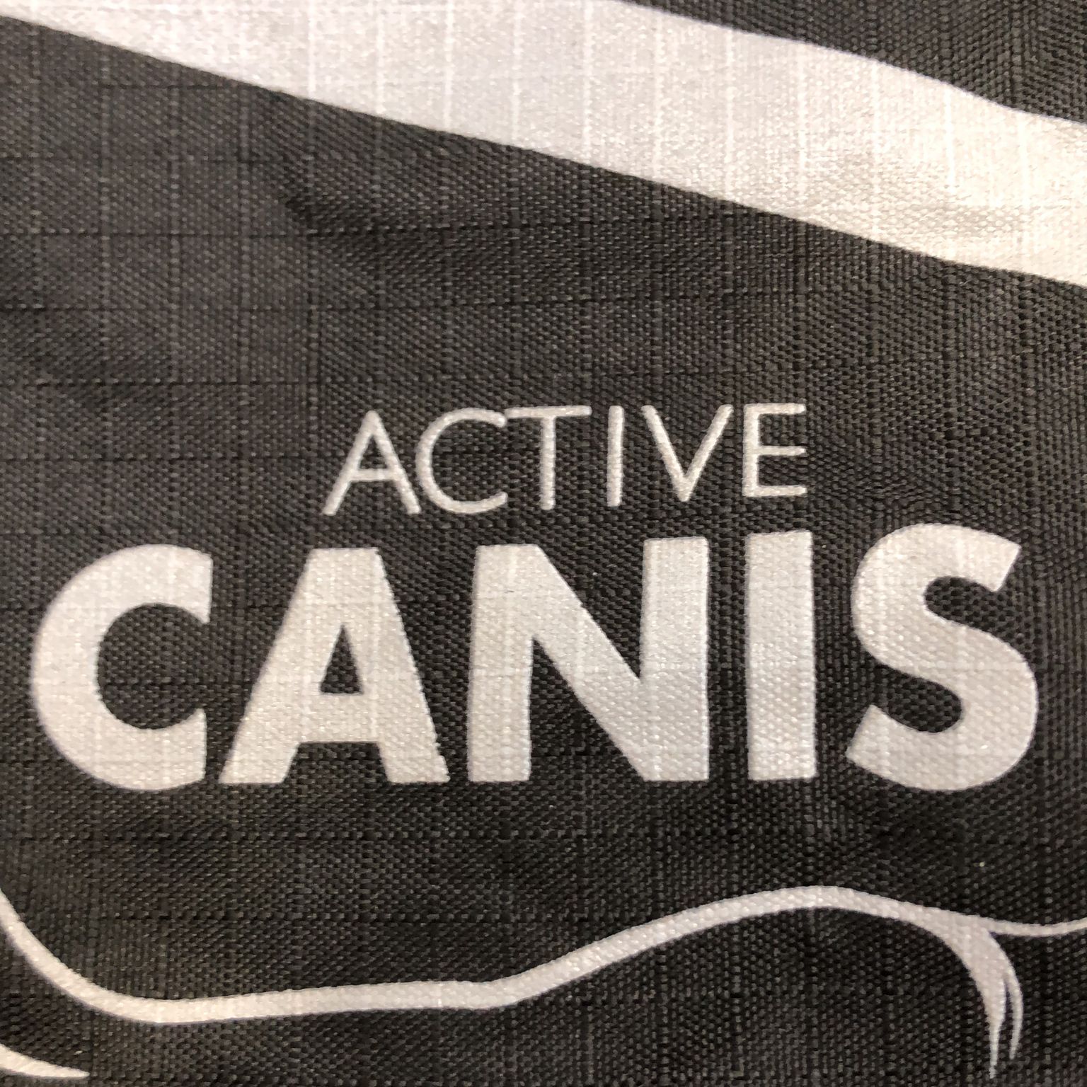 Active Canis