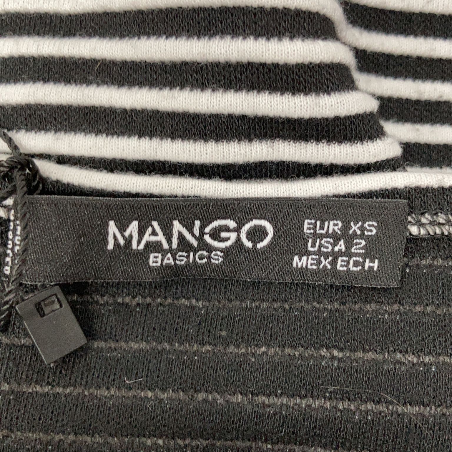 Mango Basics