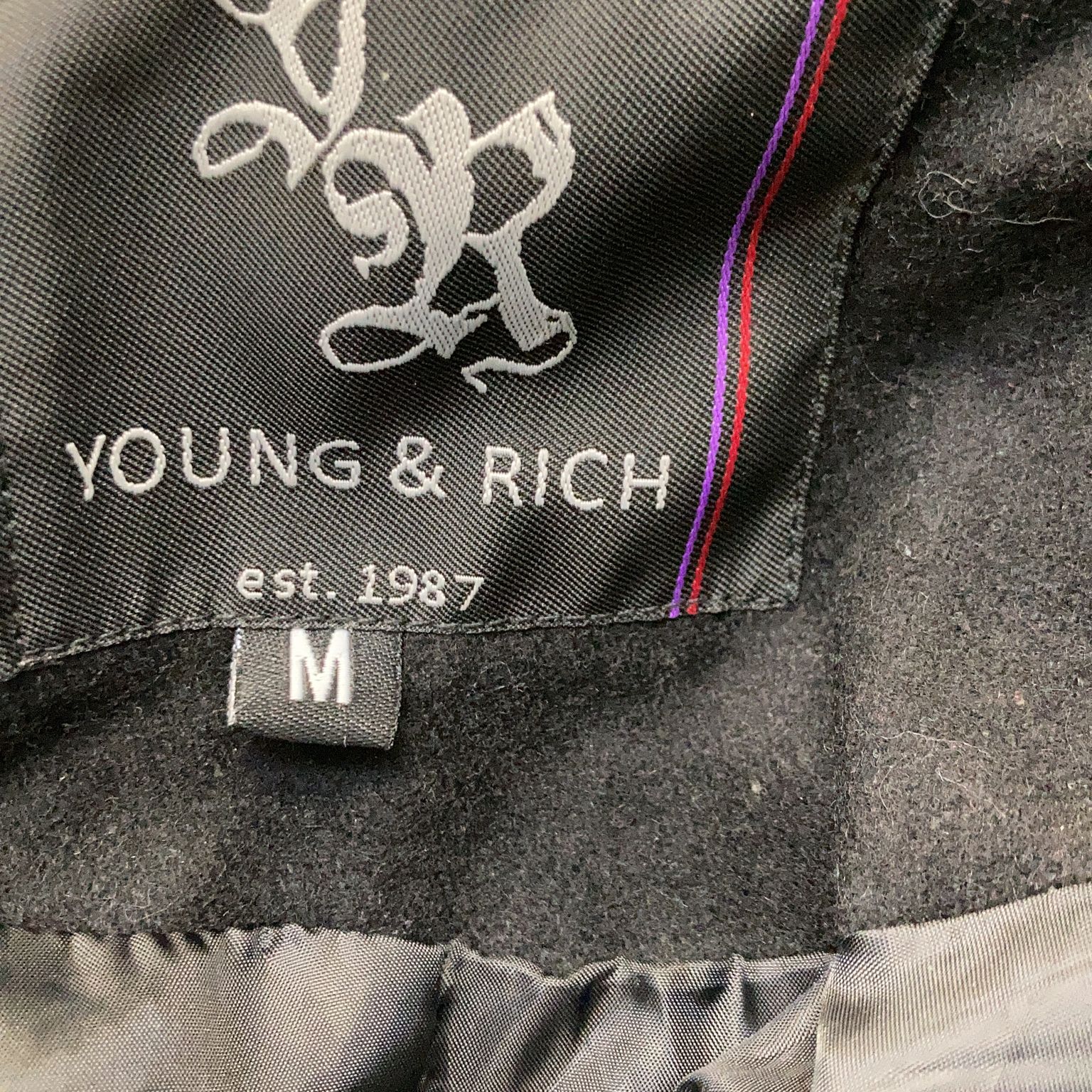 Young  Rich