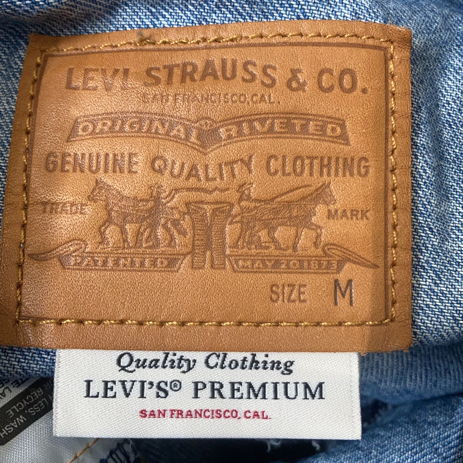 Levi Strauss  Co