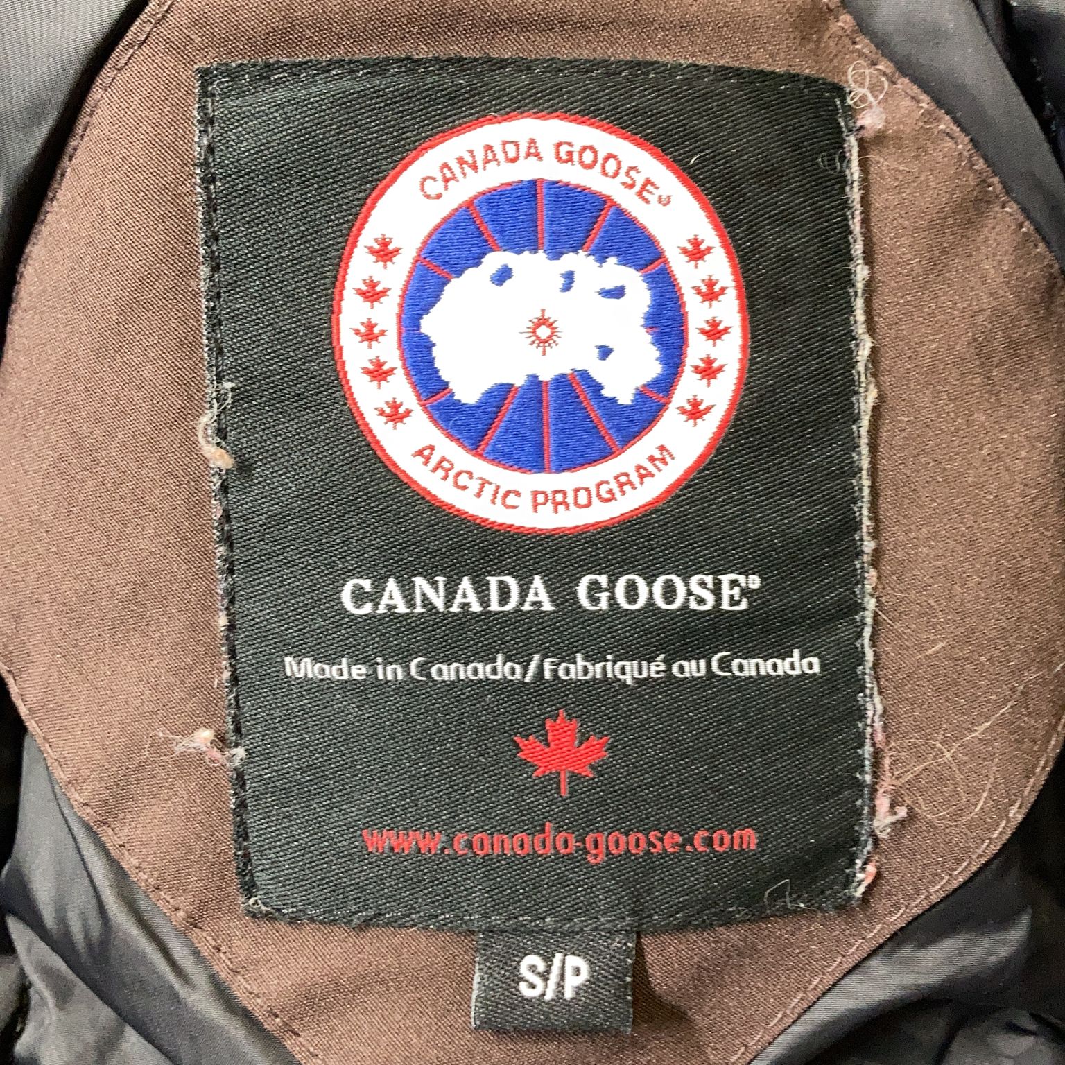 Canada Goose