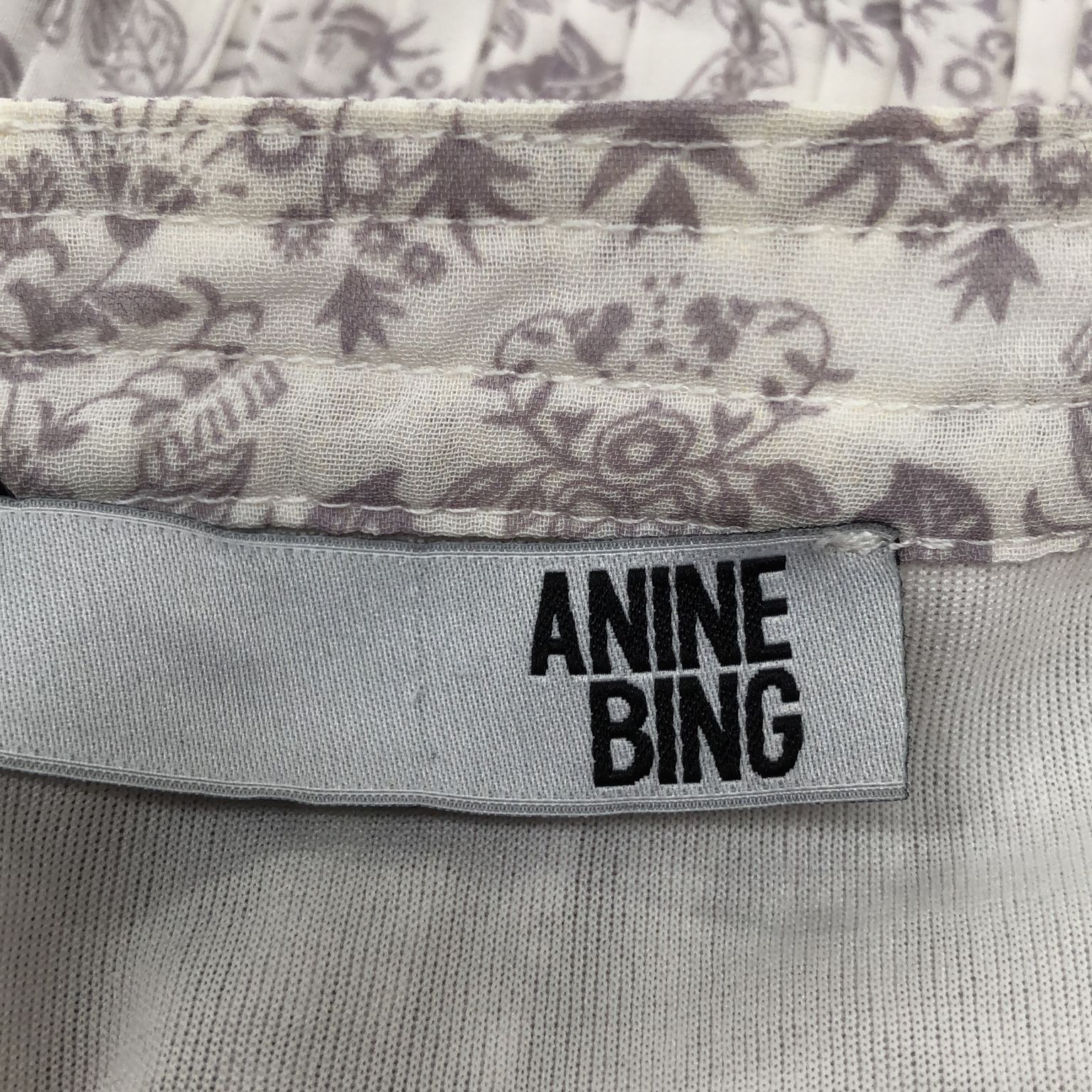 Anine Bing