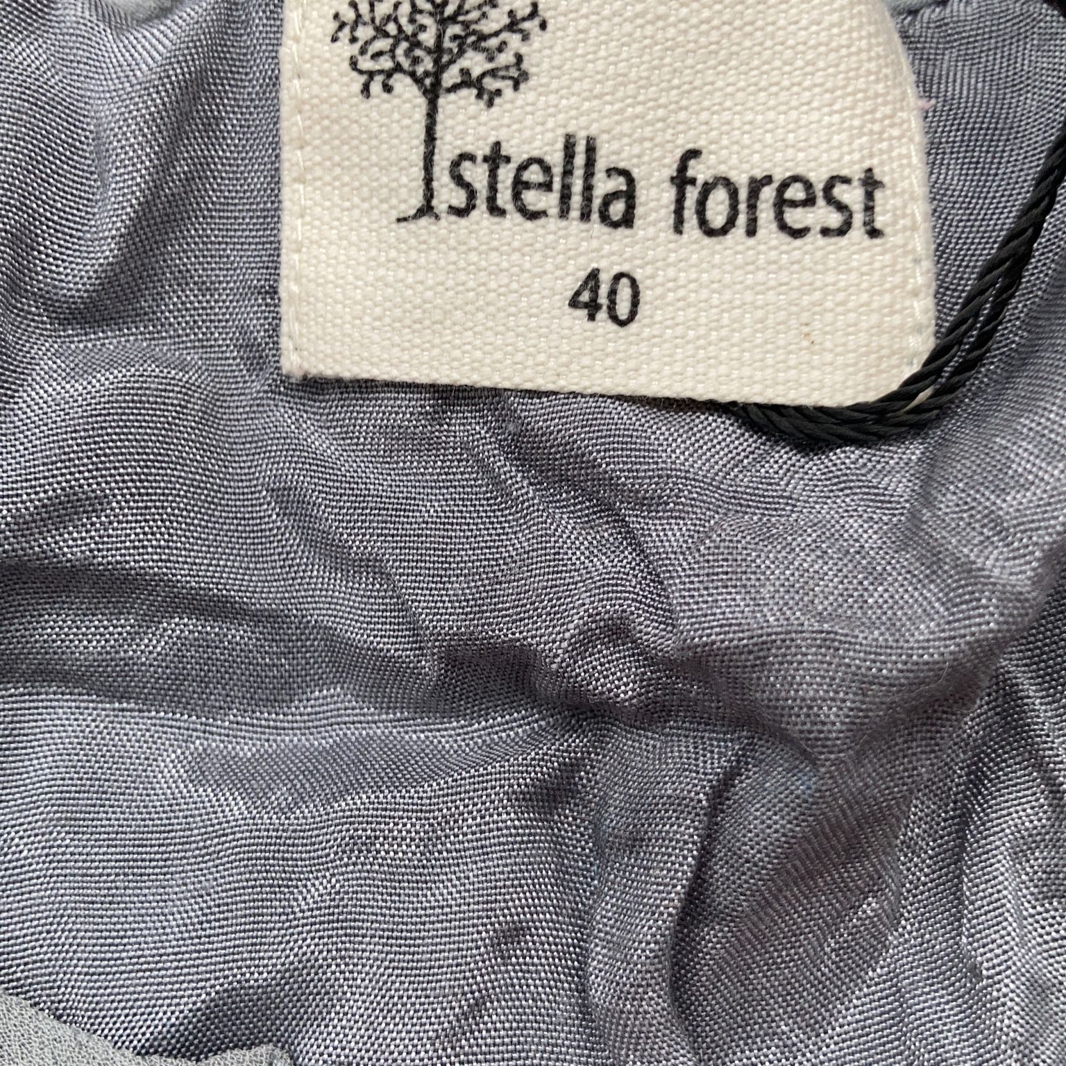 Stella Forest