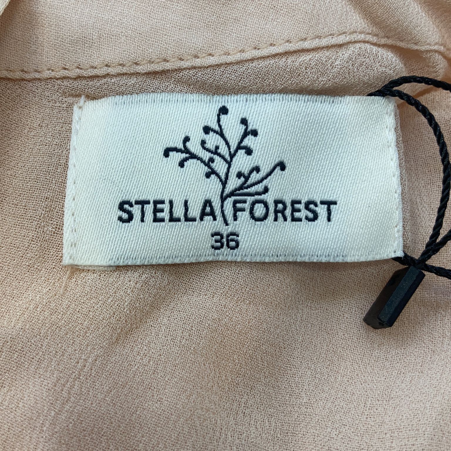 Stella Forest