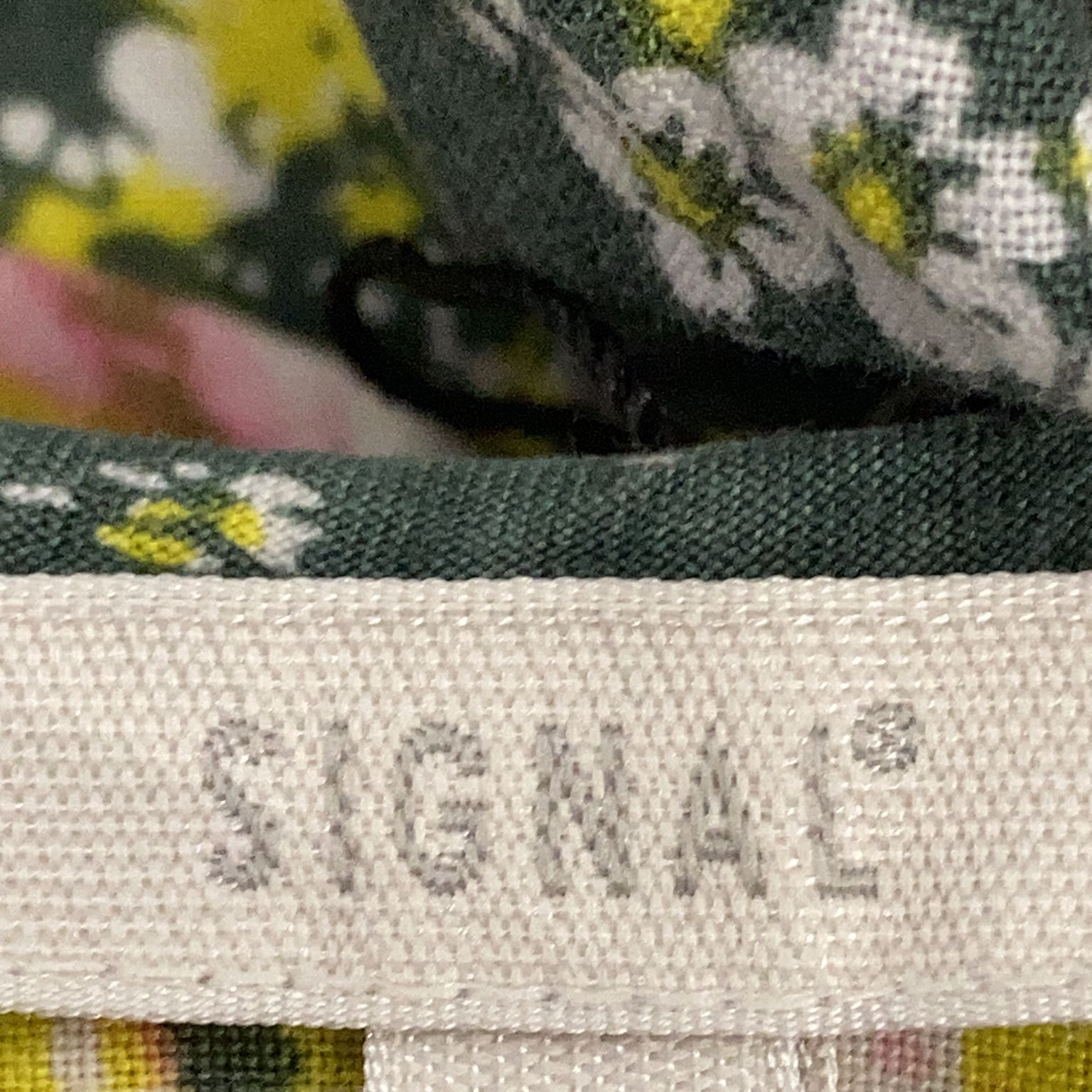 Signal